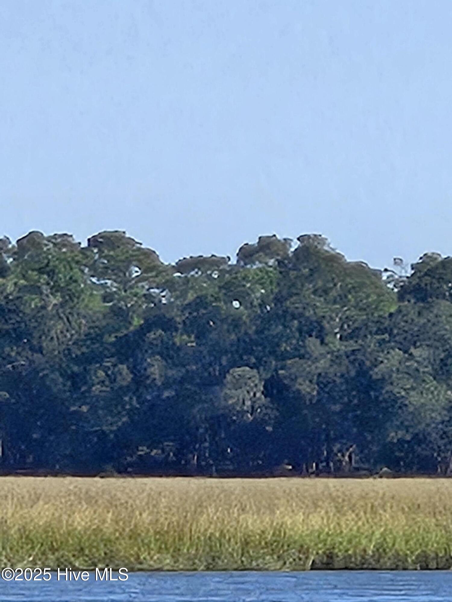 100536937 | Photo 12