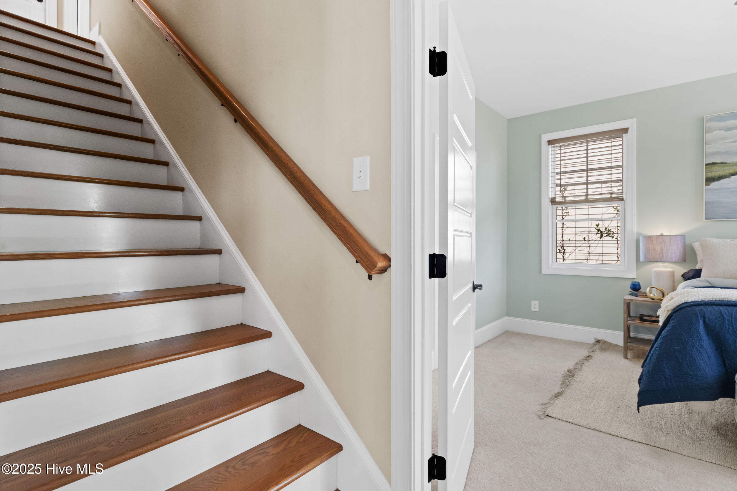 100528109 | Photo 32