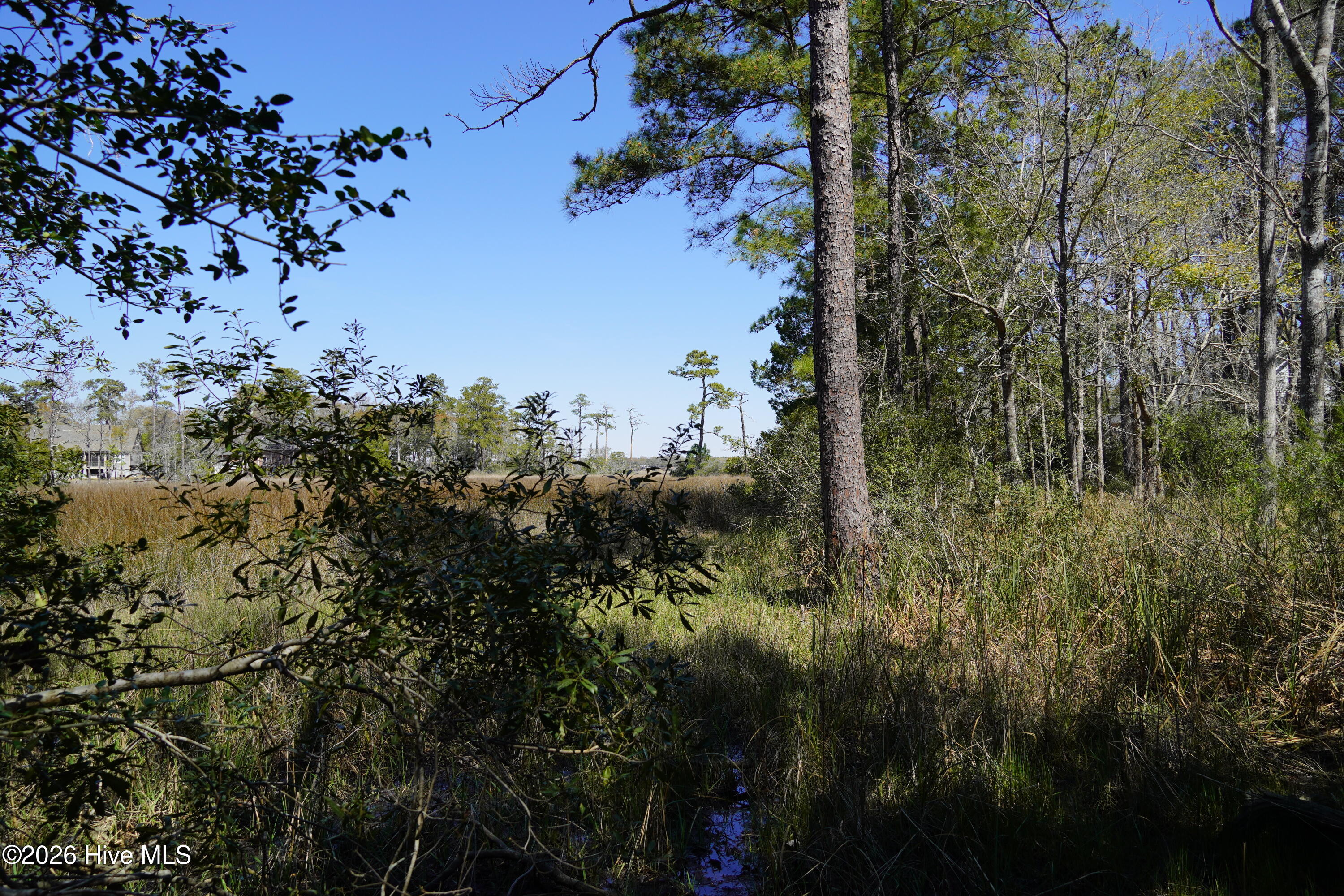 100564752 | Photo 13