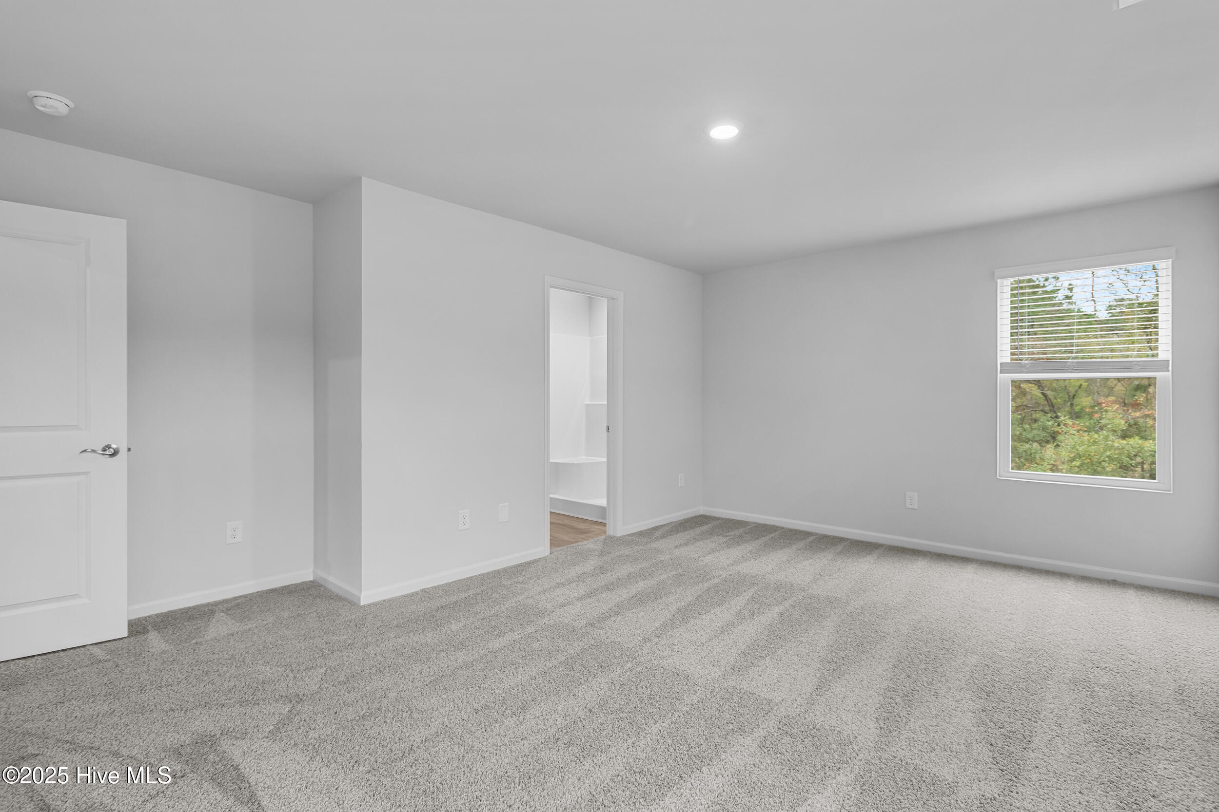 100538946 | Photo 24