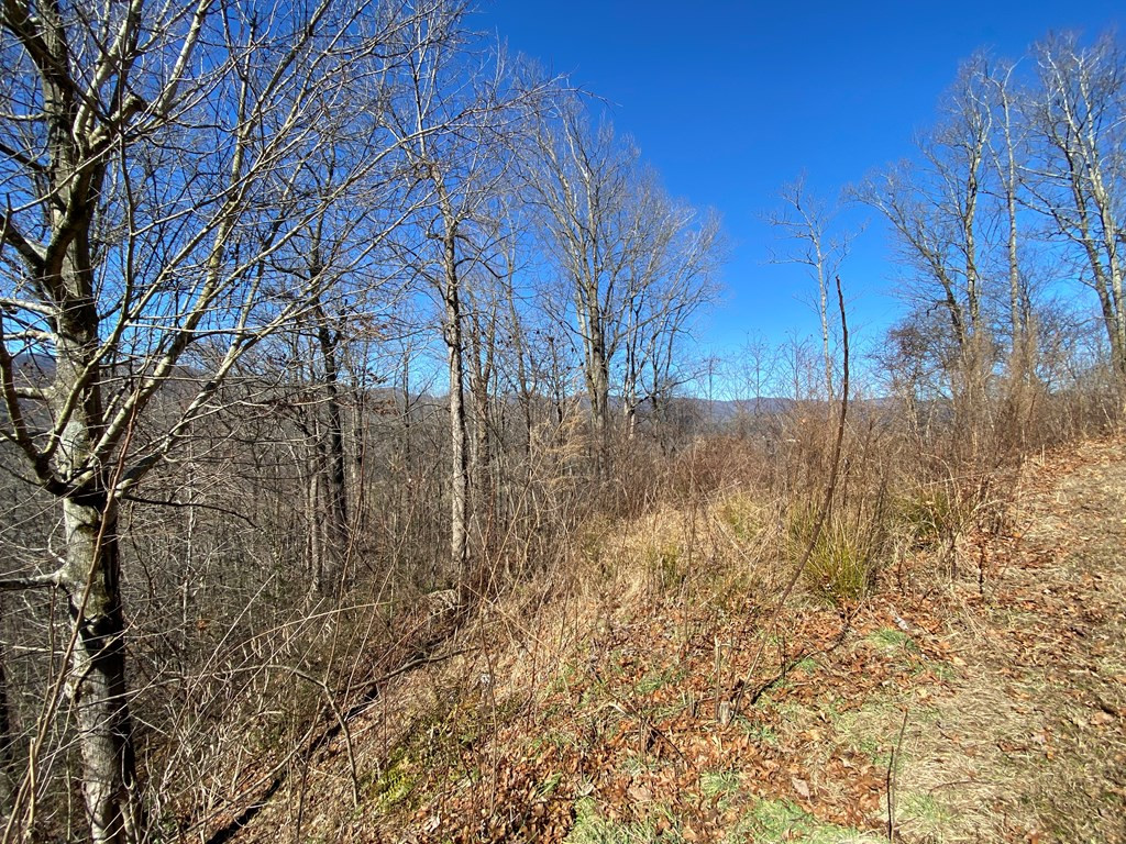 Exterior photo of Lot 42 Silo View, Marble, NC 28905. MLS: 98524864