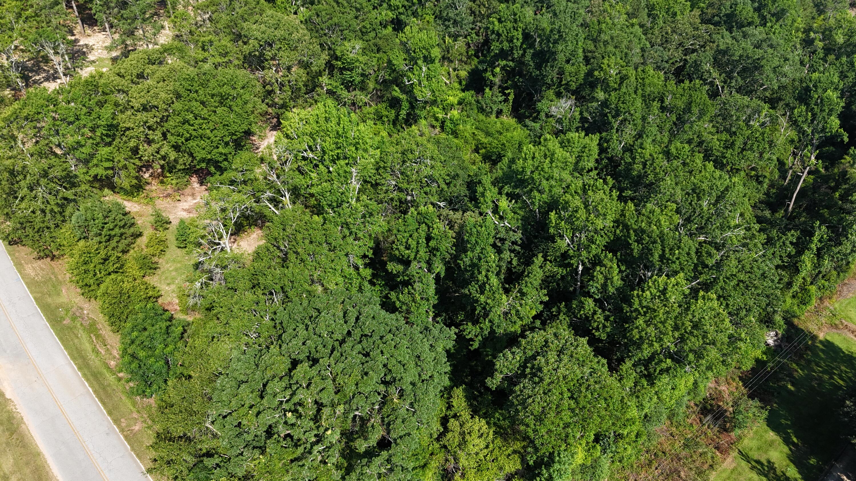 2039 Mcdade Farm Road, Hephzibah, GA, 30815