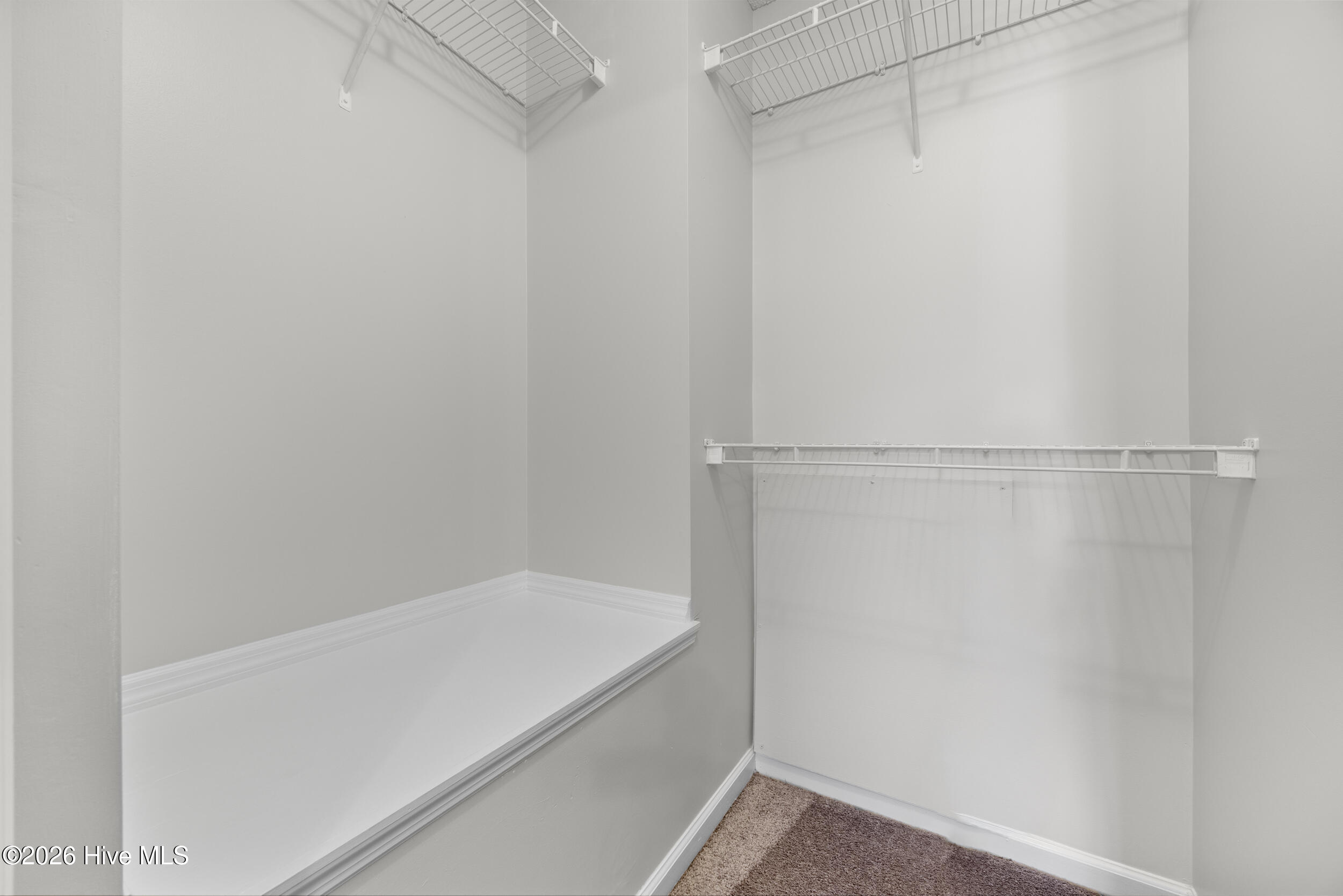 100561186 | Photo 25