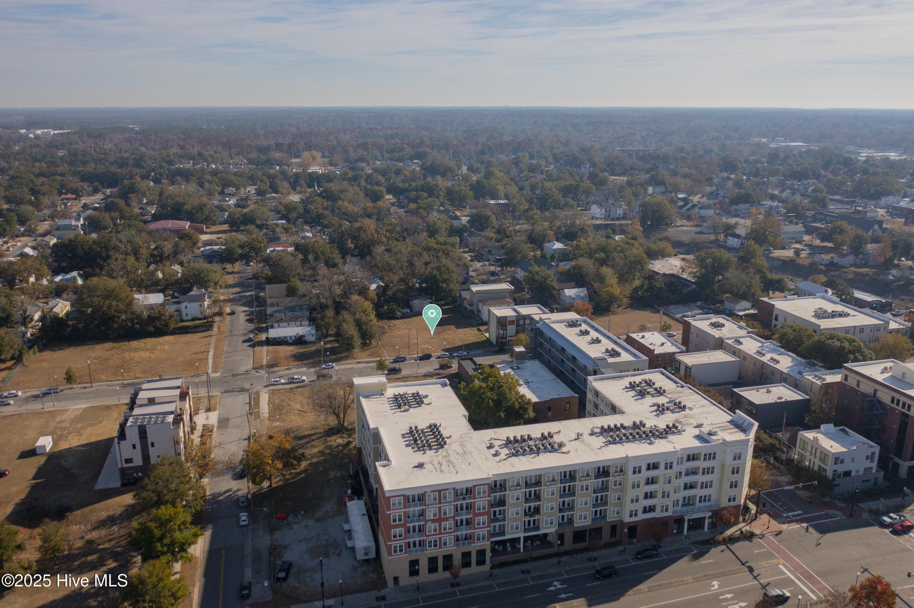 100524258 | Photo 21