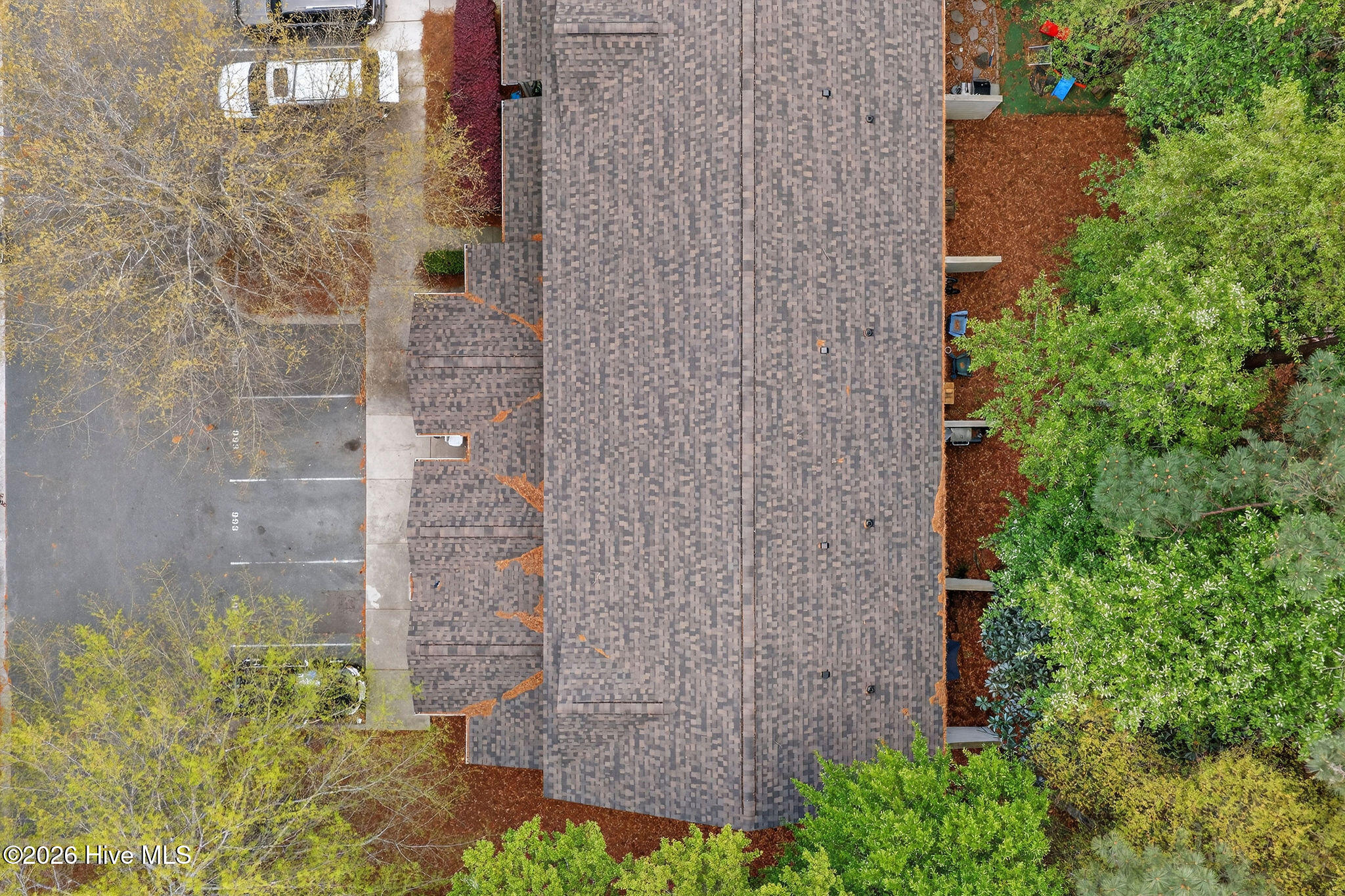 100564267 | Photo 21