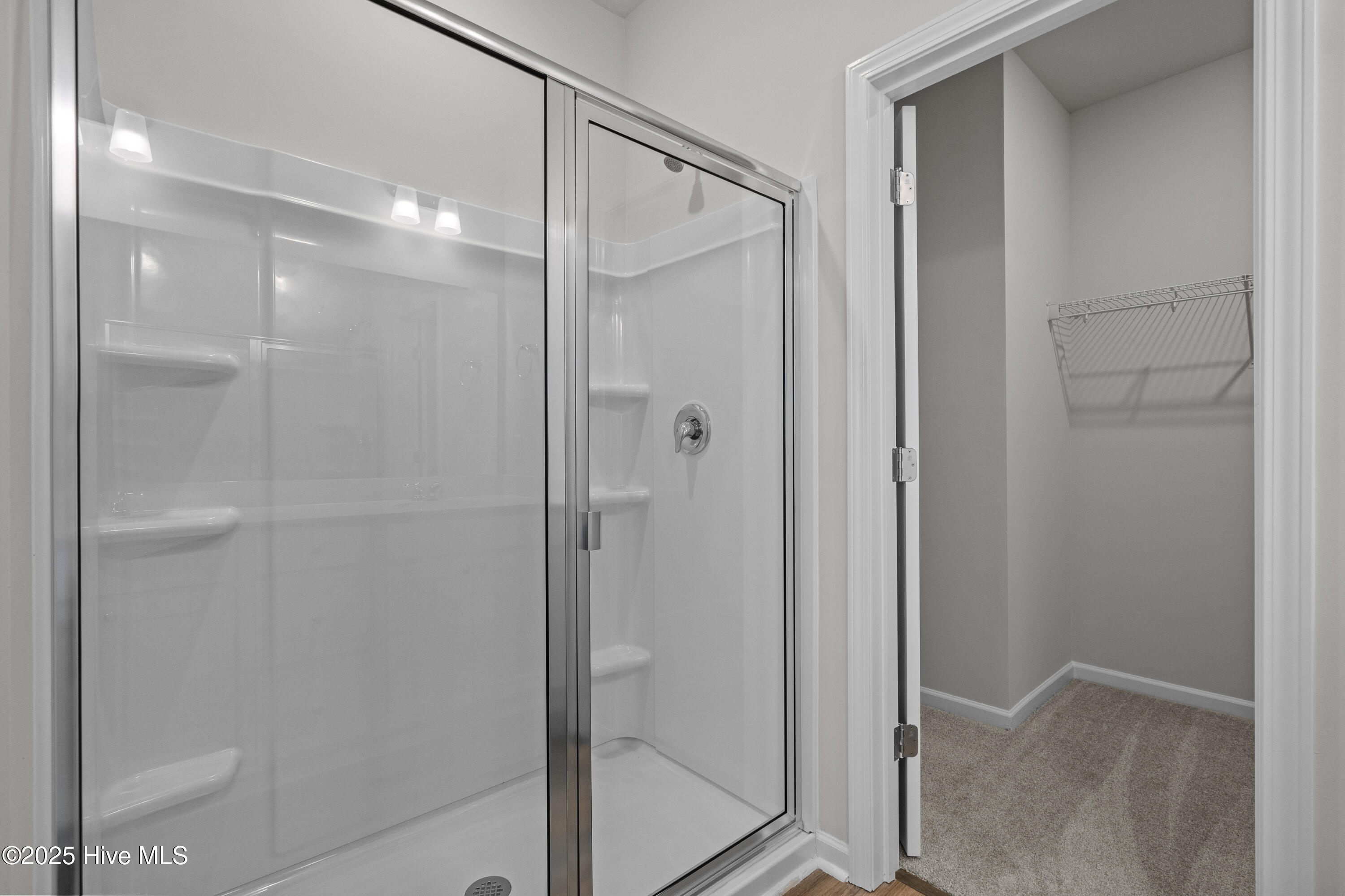 100534504 | Photo 25