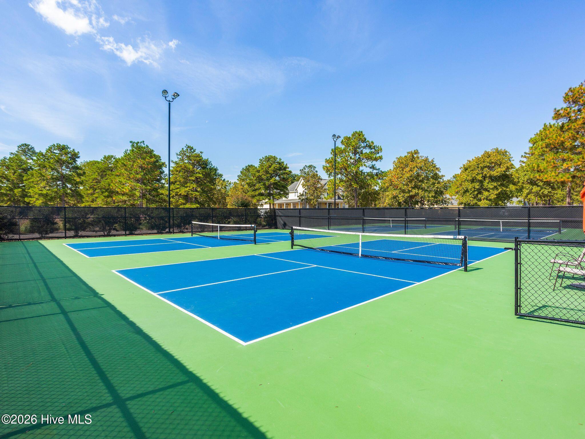 100569004 | Photo 104