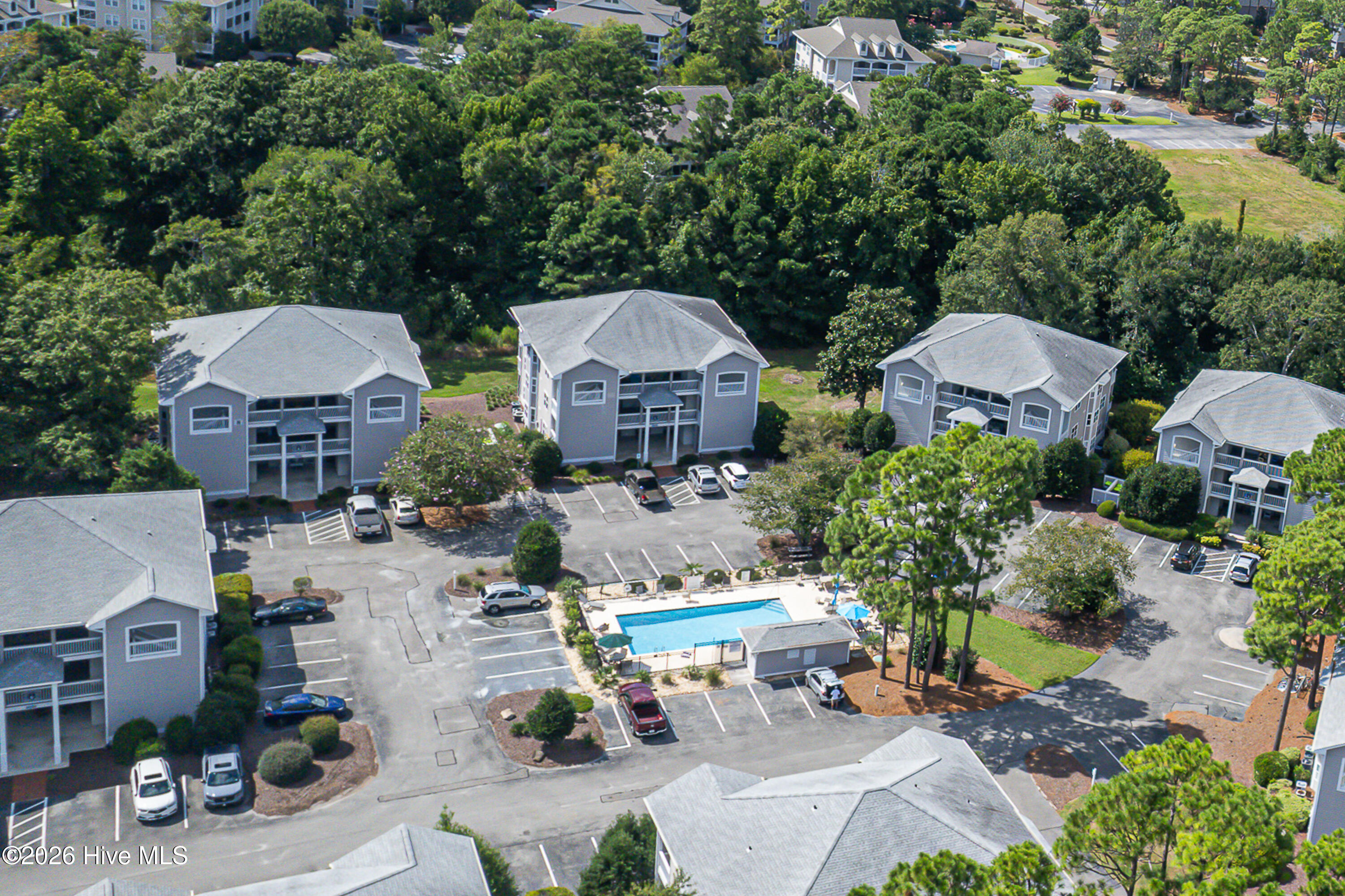 100562501 | Photo 51