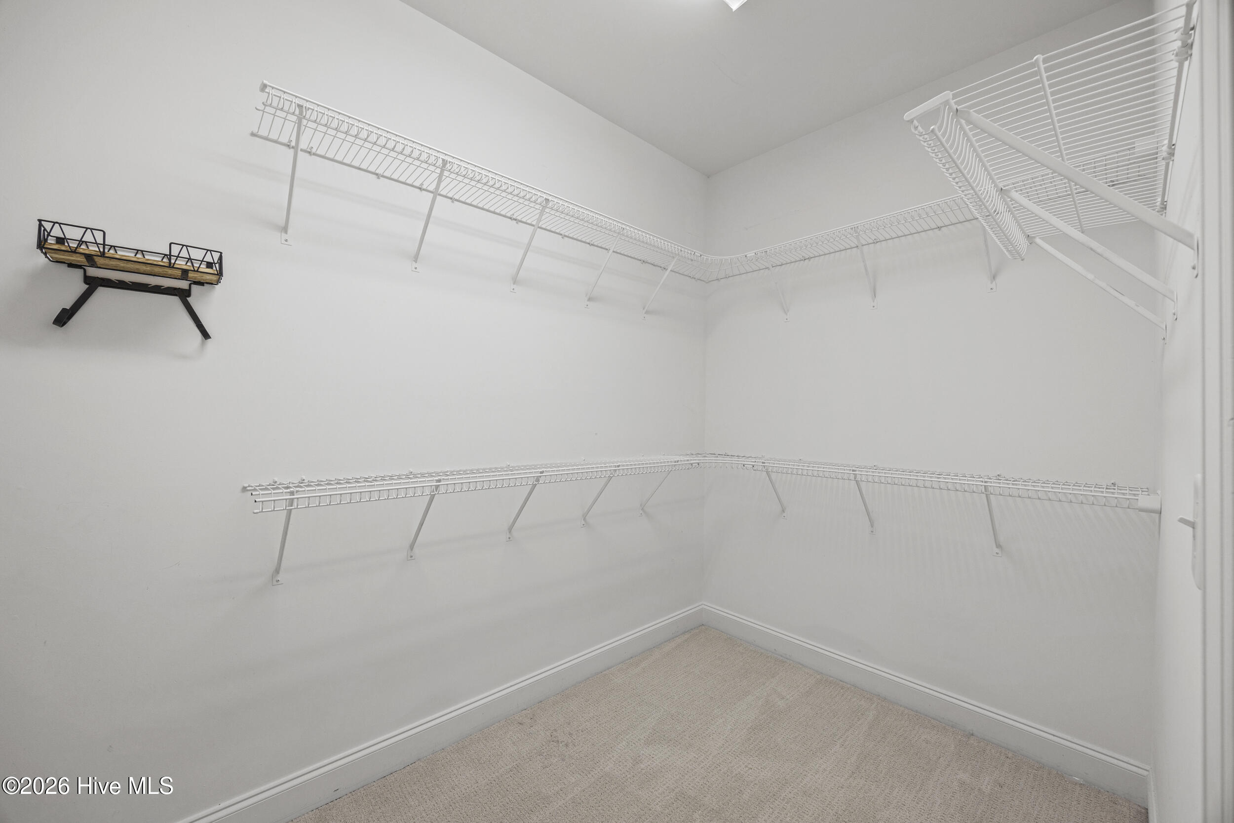 100567913 | Photo 32