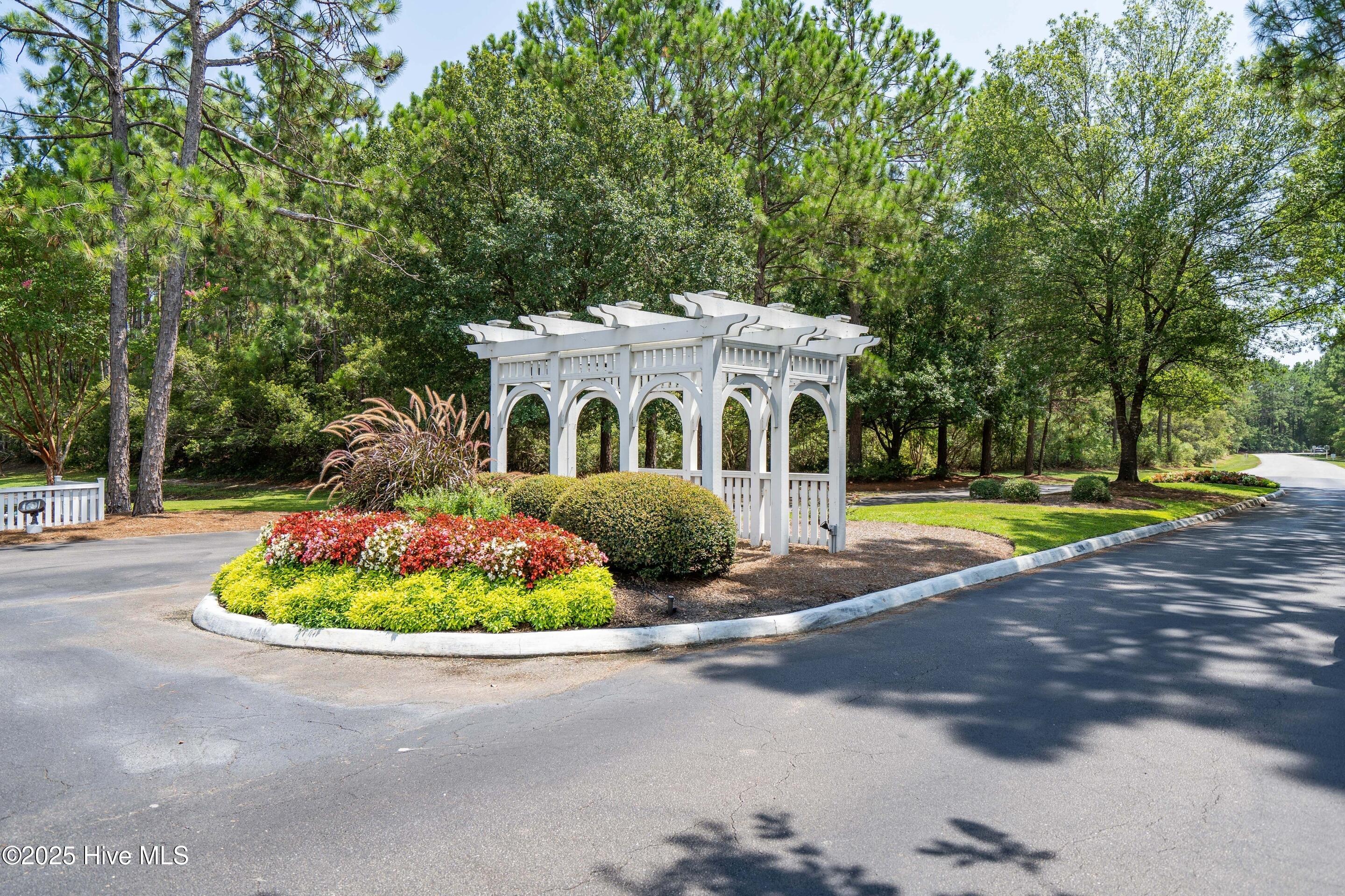 100525982 | Photo 78