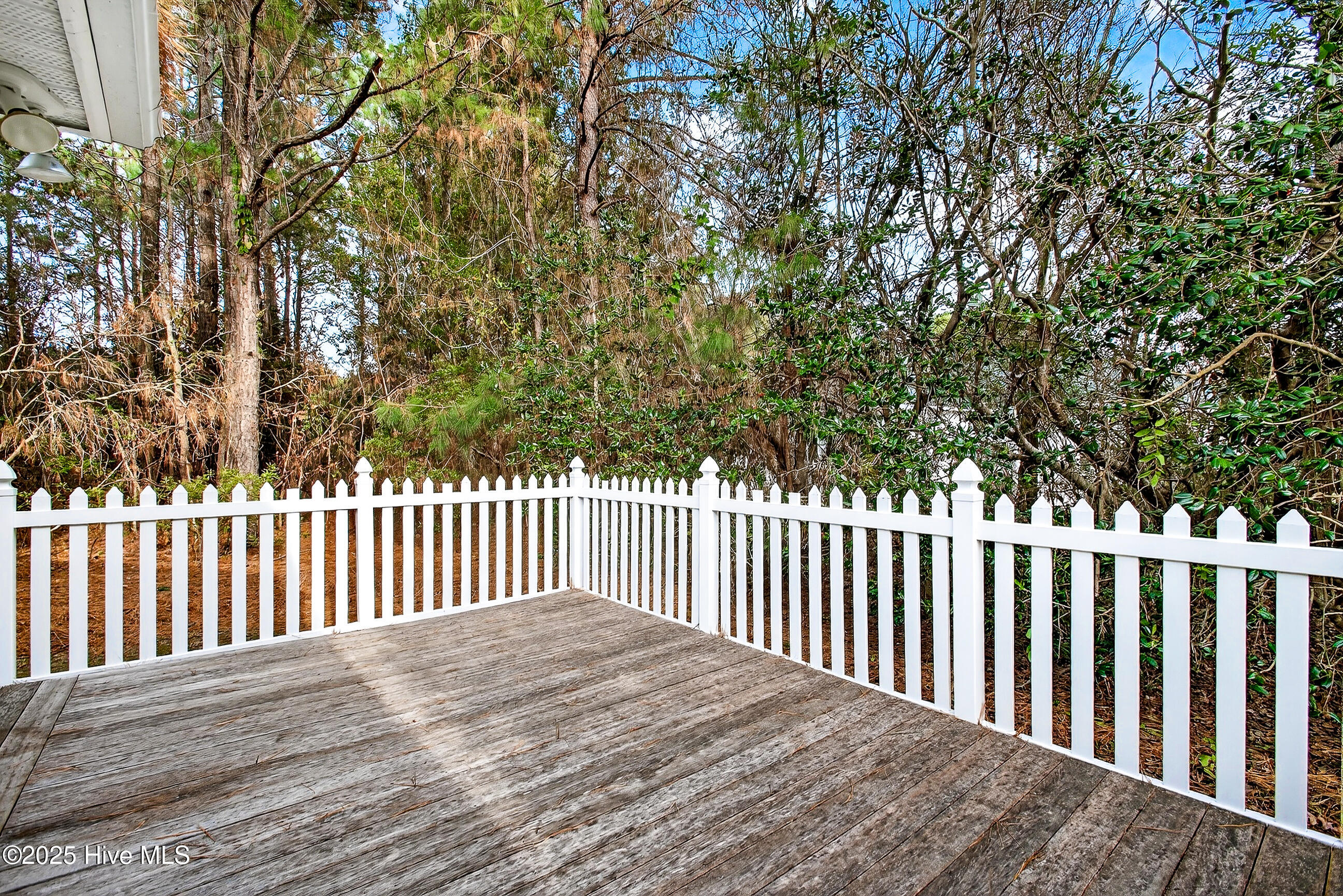 100546010 | Photo 28