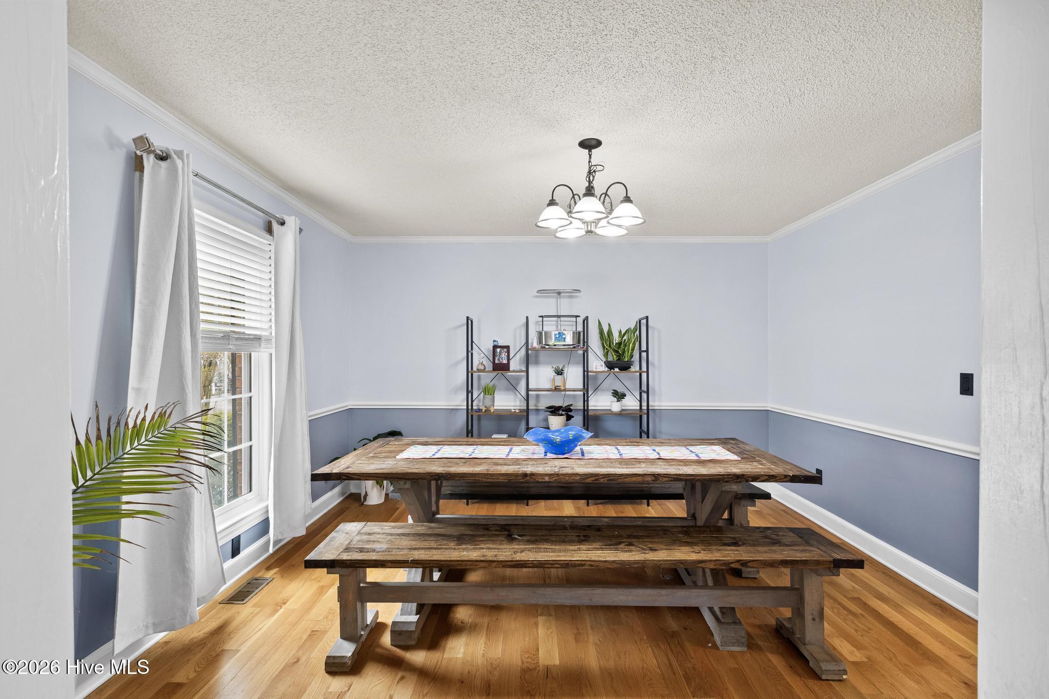 100563926 | Photo 10