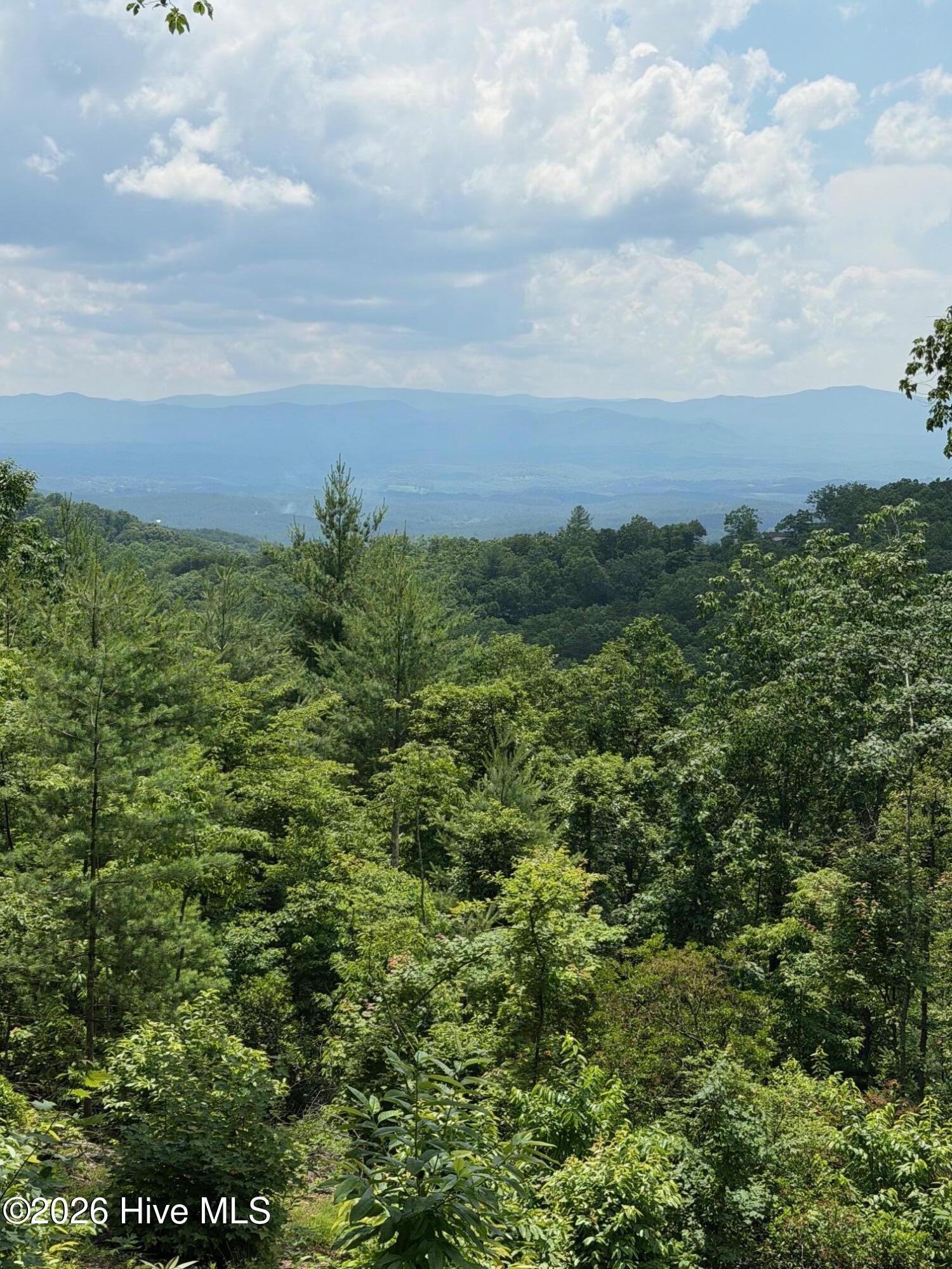 340 Lazy Country Cove Road