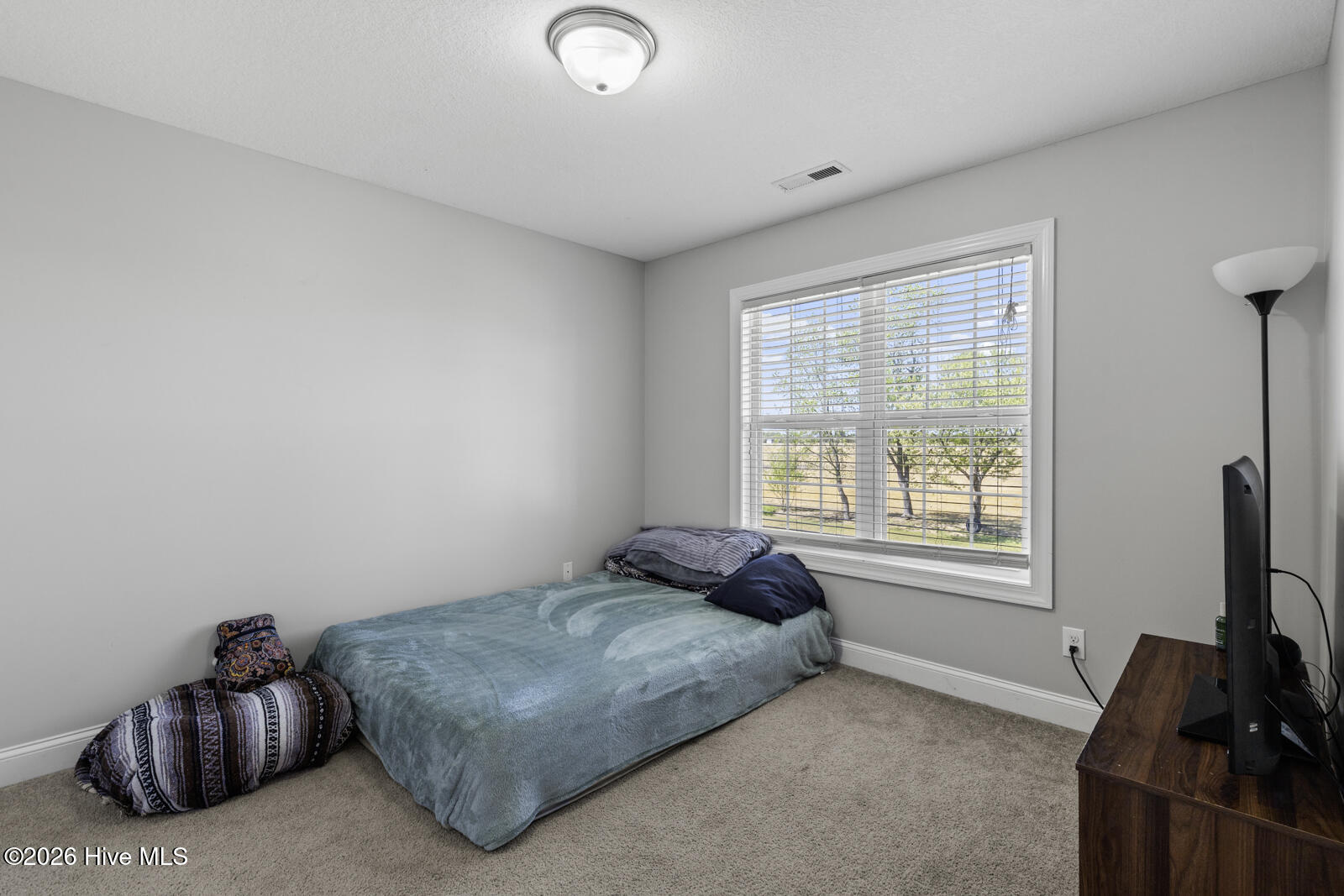 100564788 | Photo 32