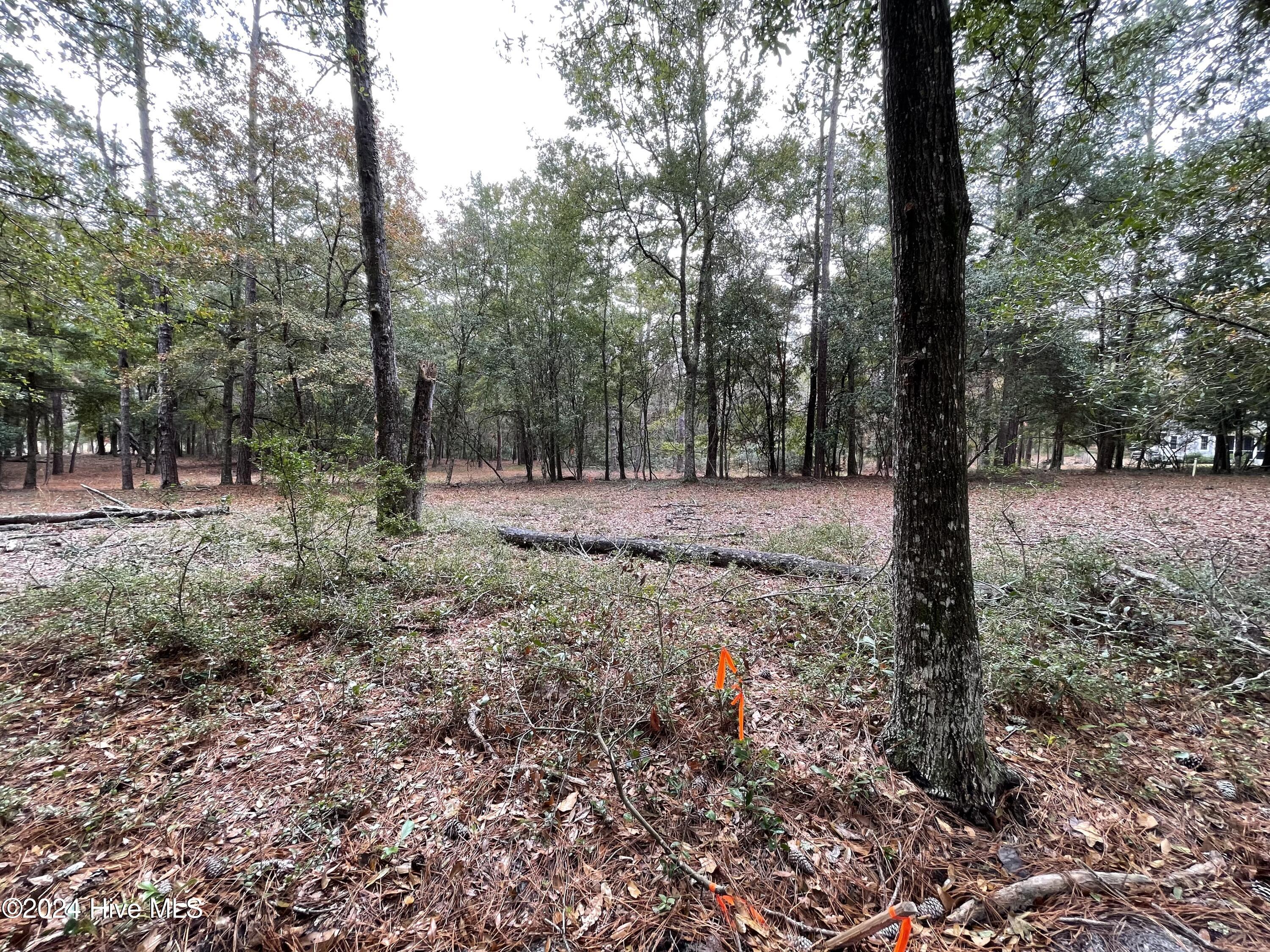 100481360 | Photo 33