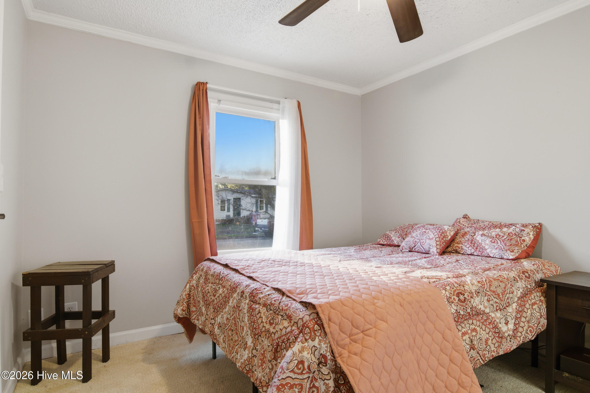 100553535 | Photo 24