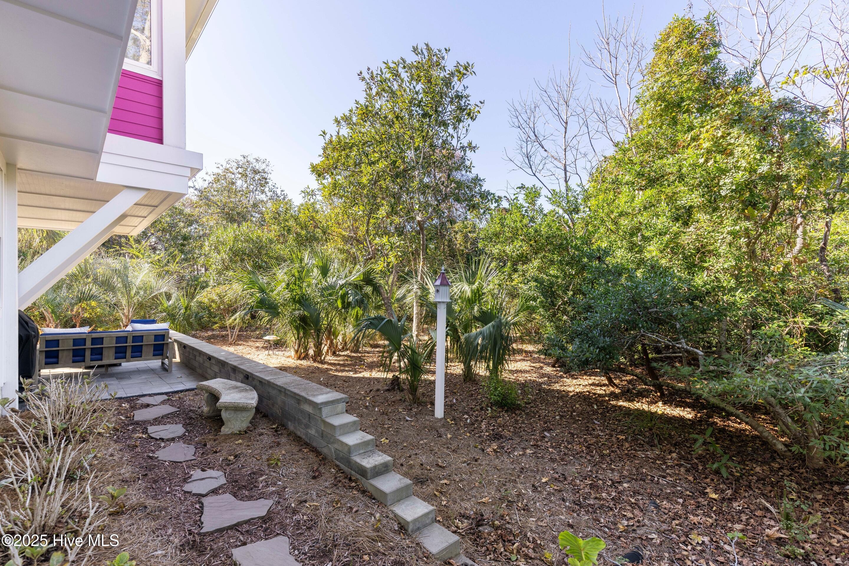 100540413 | Photo 58