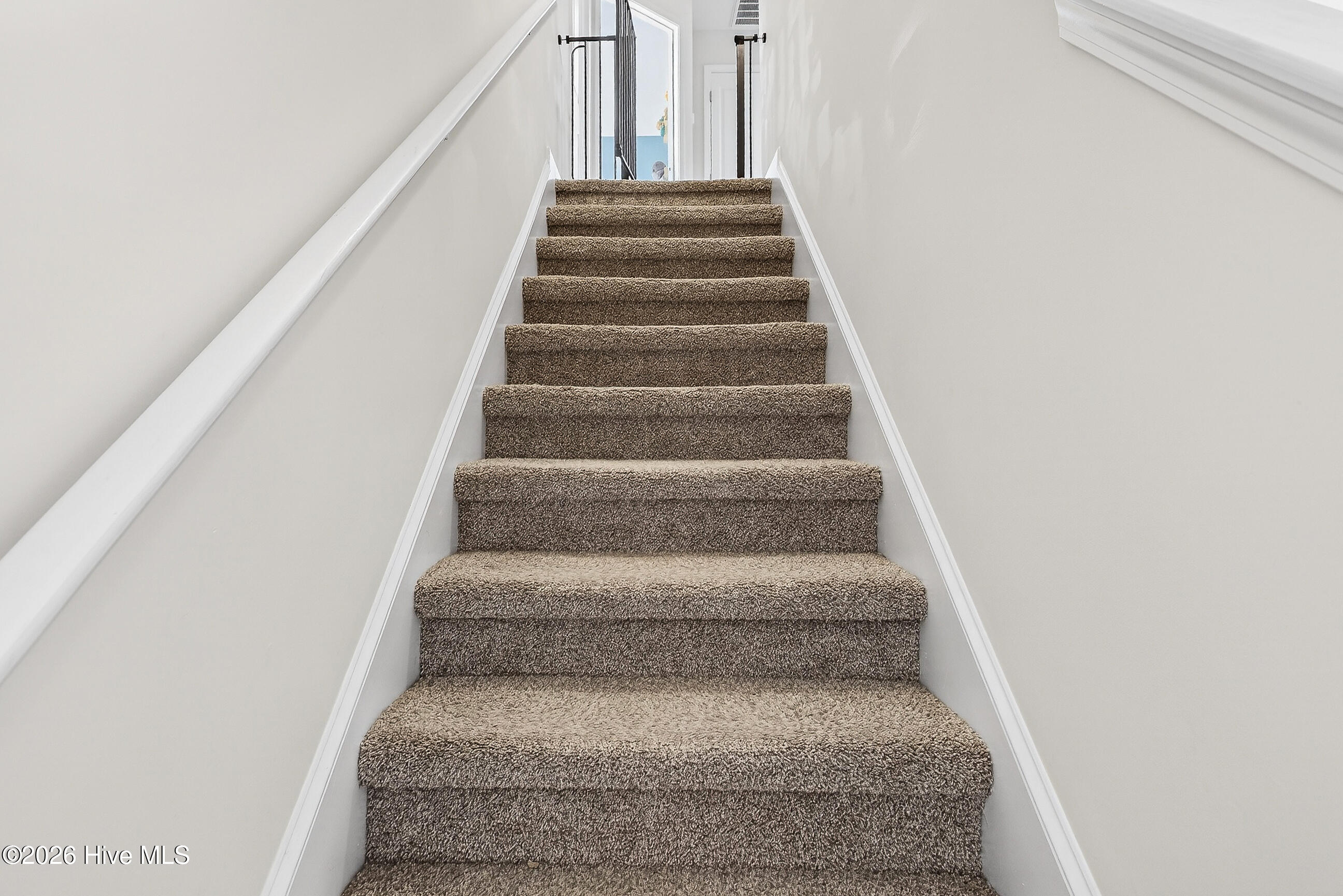 100558080 | Photo 19