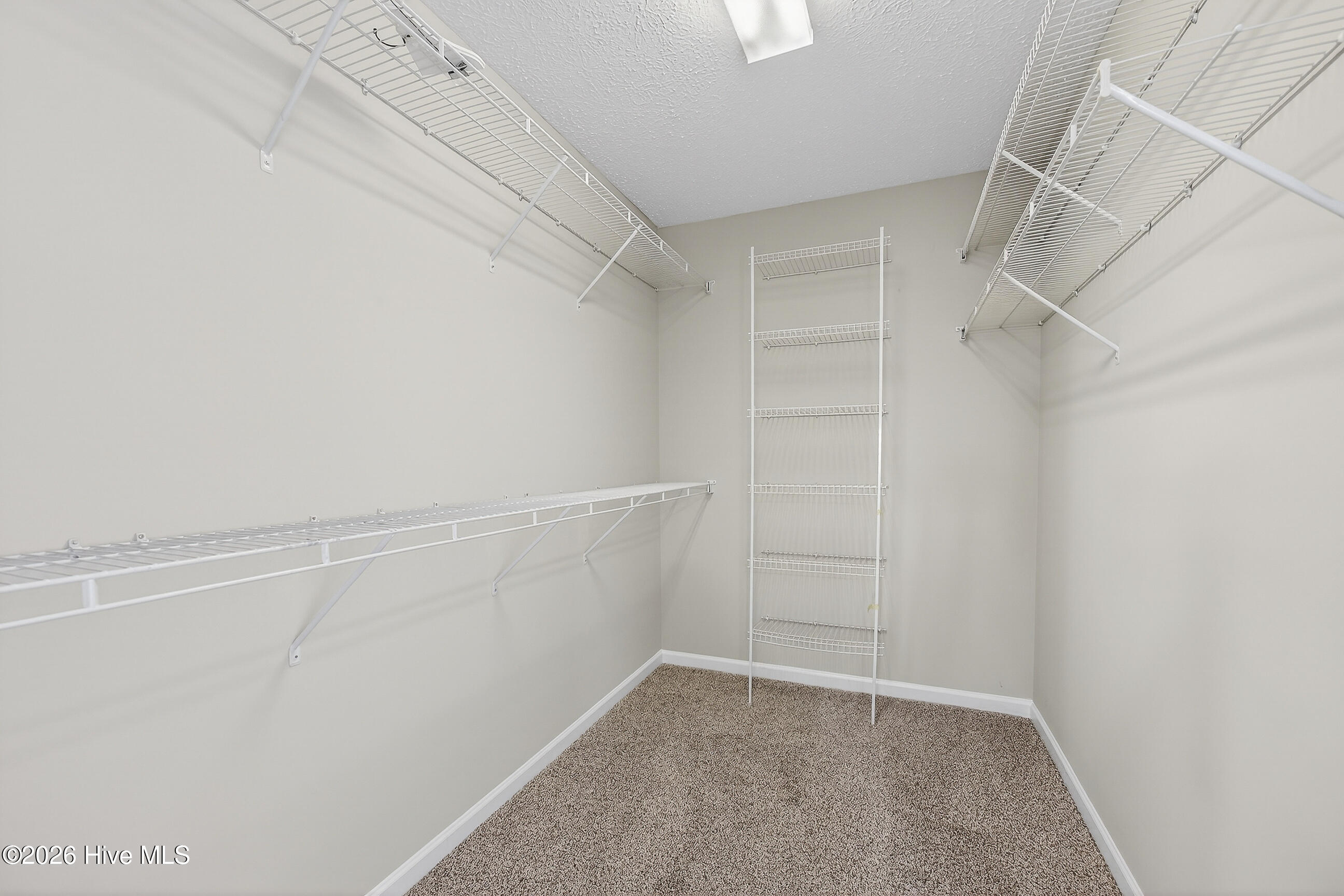 100552095 | Photo 21