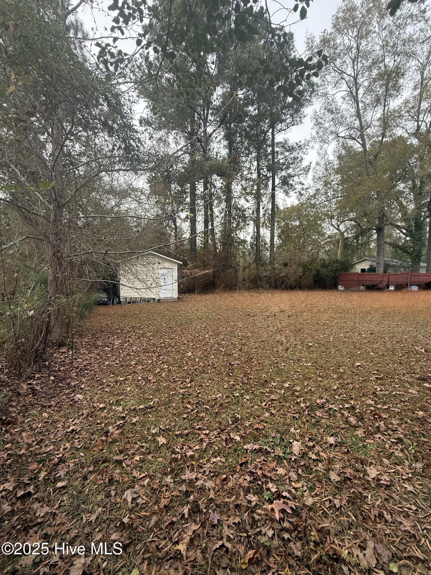 100544444 | Photo 19