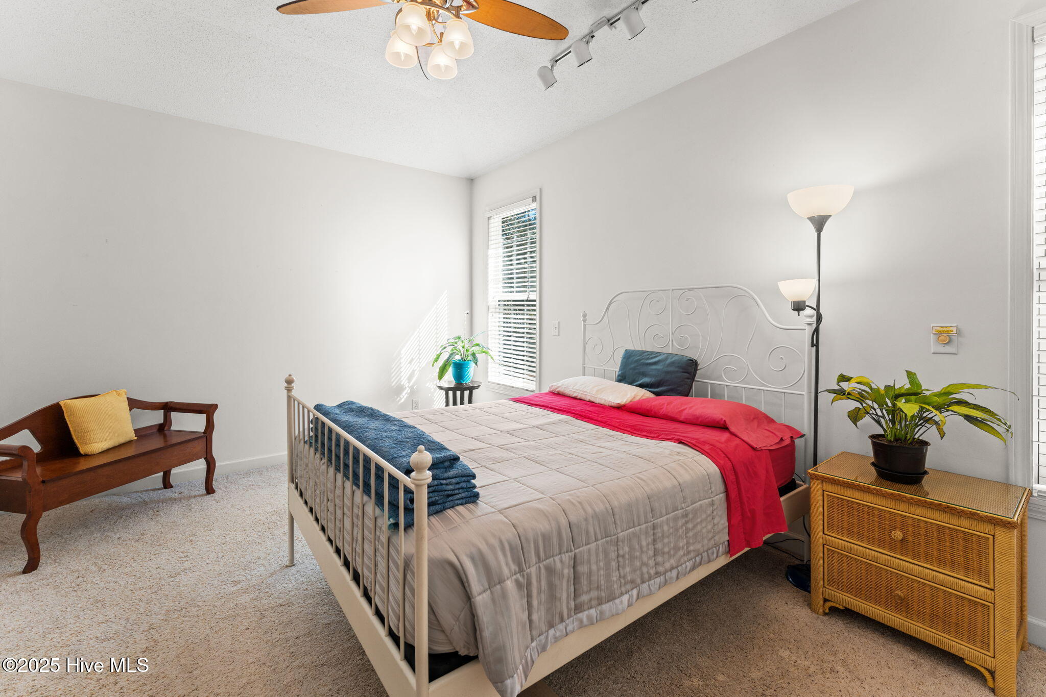 100539831 | Photo 21