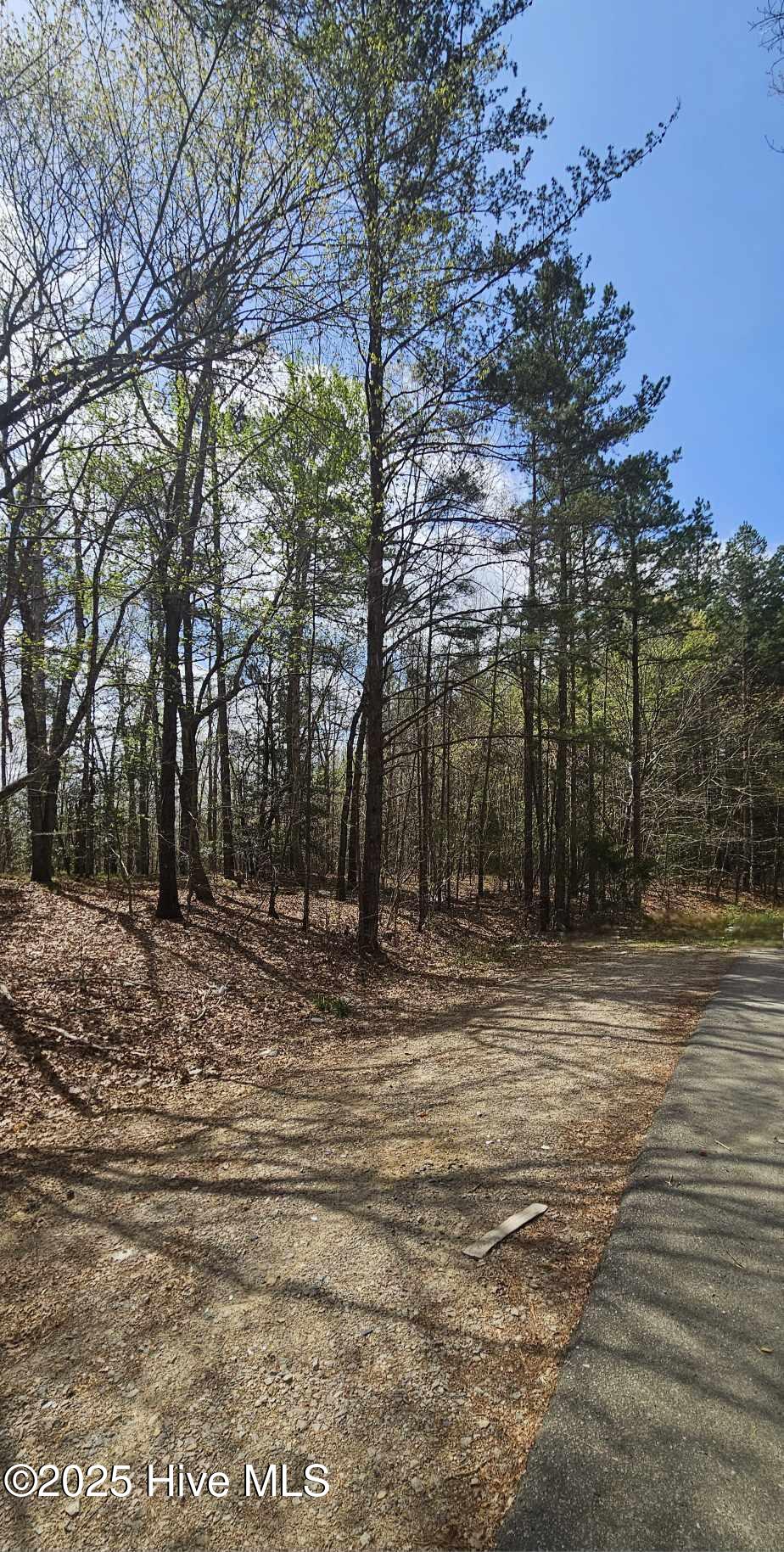 Homes for sale in Robbins, NC | Lot 4 Leaman Rd, Robbins, NC 27325 | MLS# 100499448