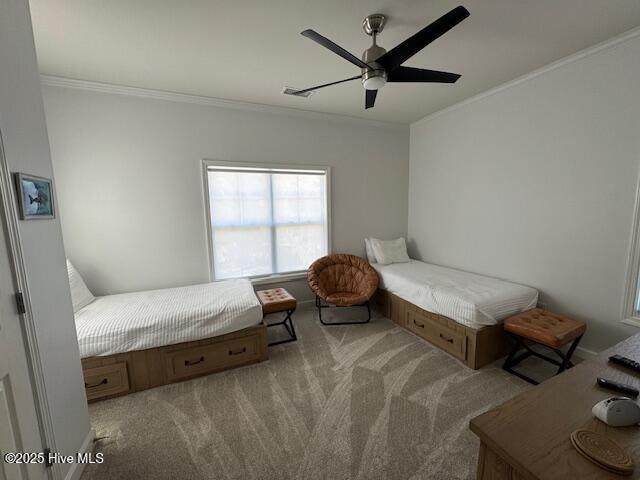 100499994 | Photo 12