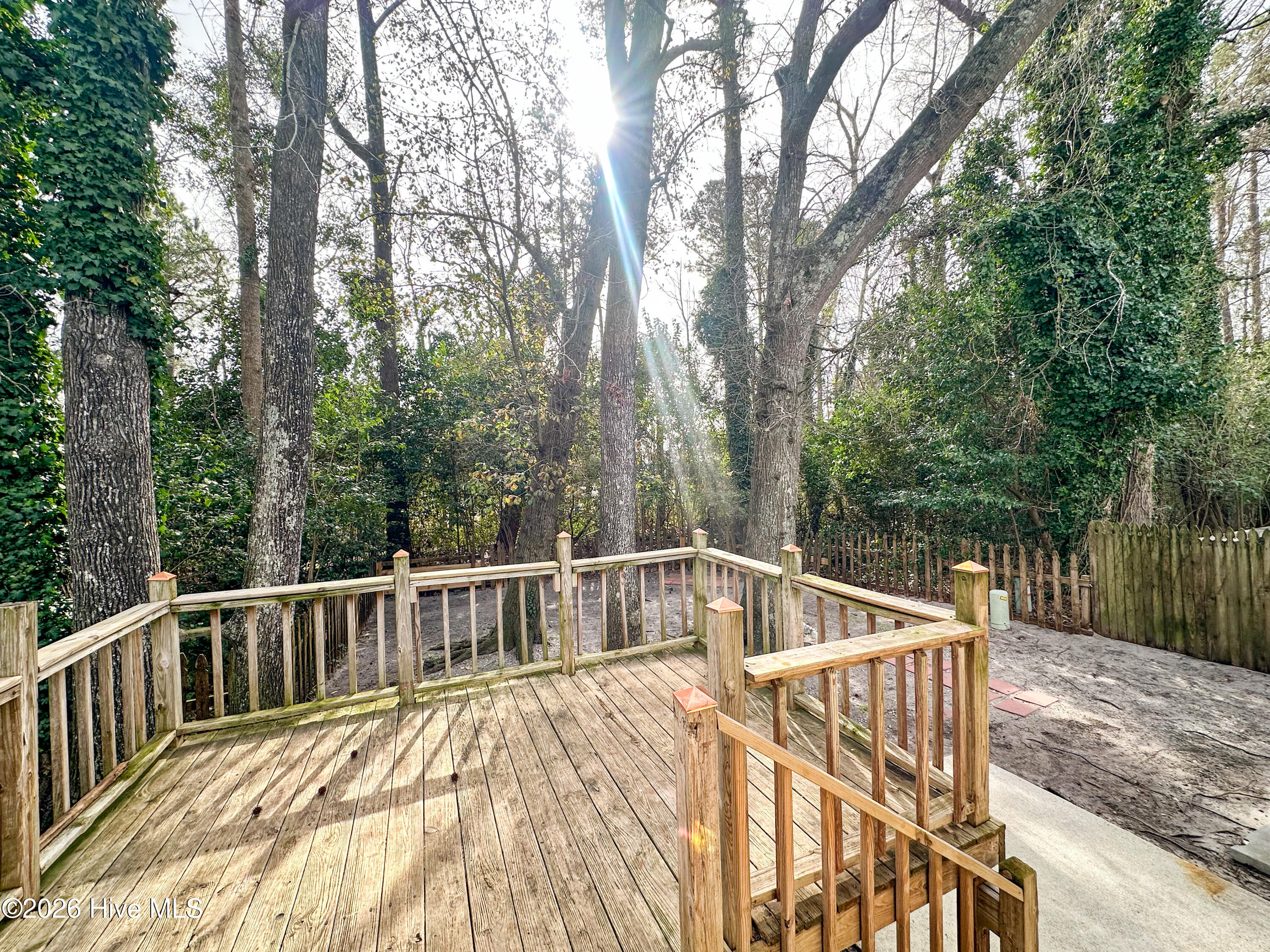 100553133 | Photo 16