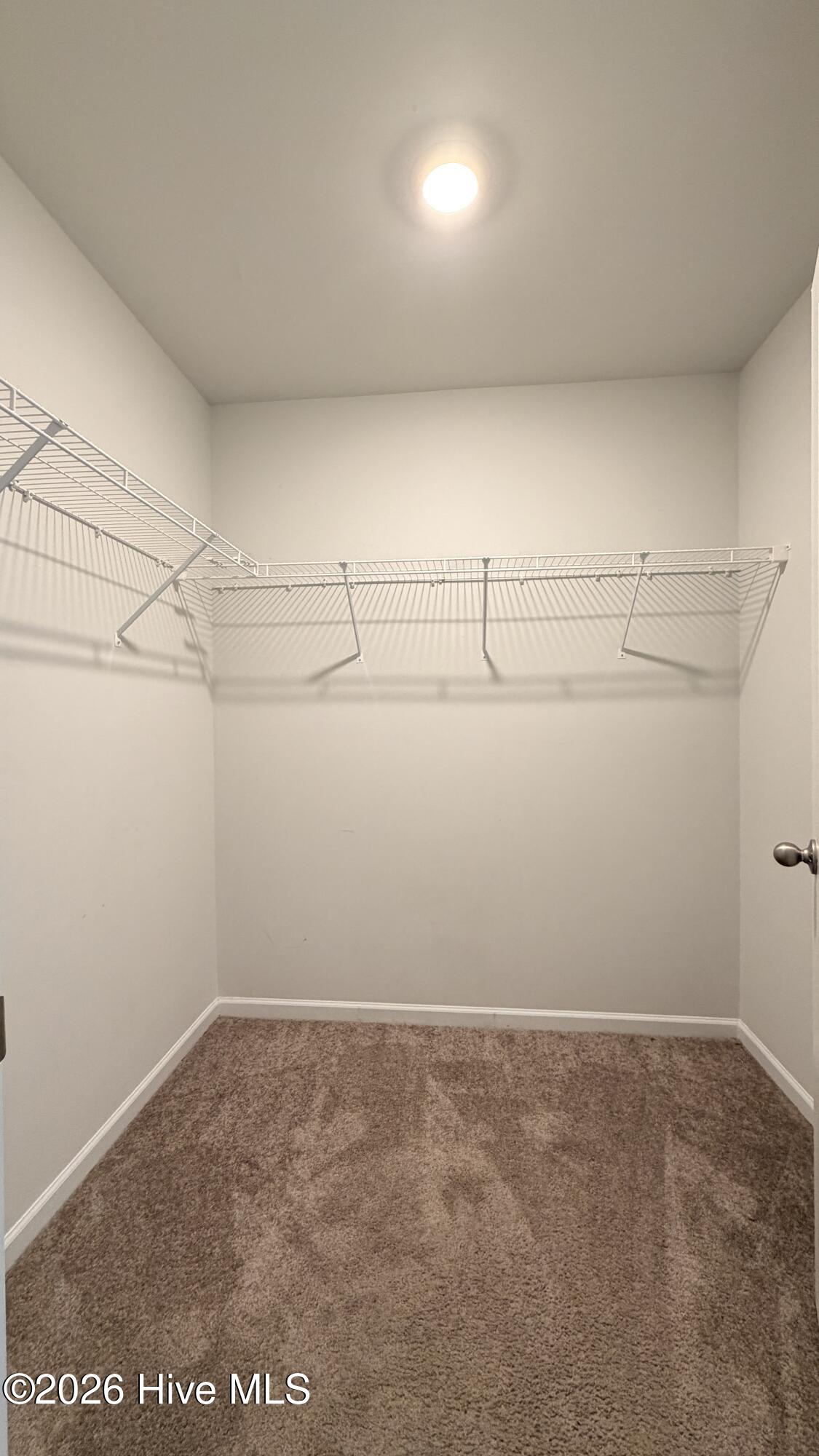 100549167 | Photo 21