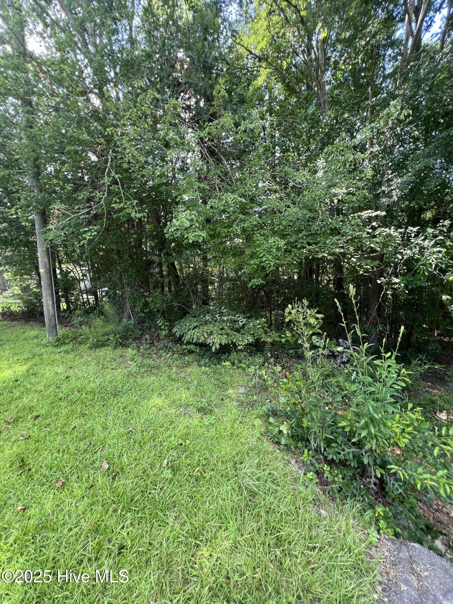 Homes for sale in Pinehurst, NC | 301 Spring Lake Dr, Pinehurst, NC 28374 | MLS# 100555317