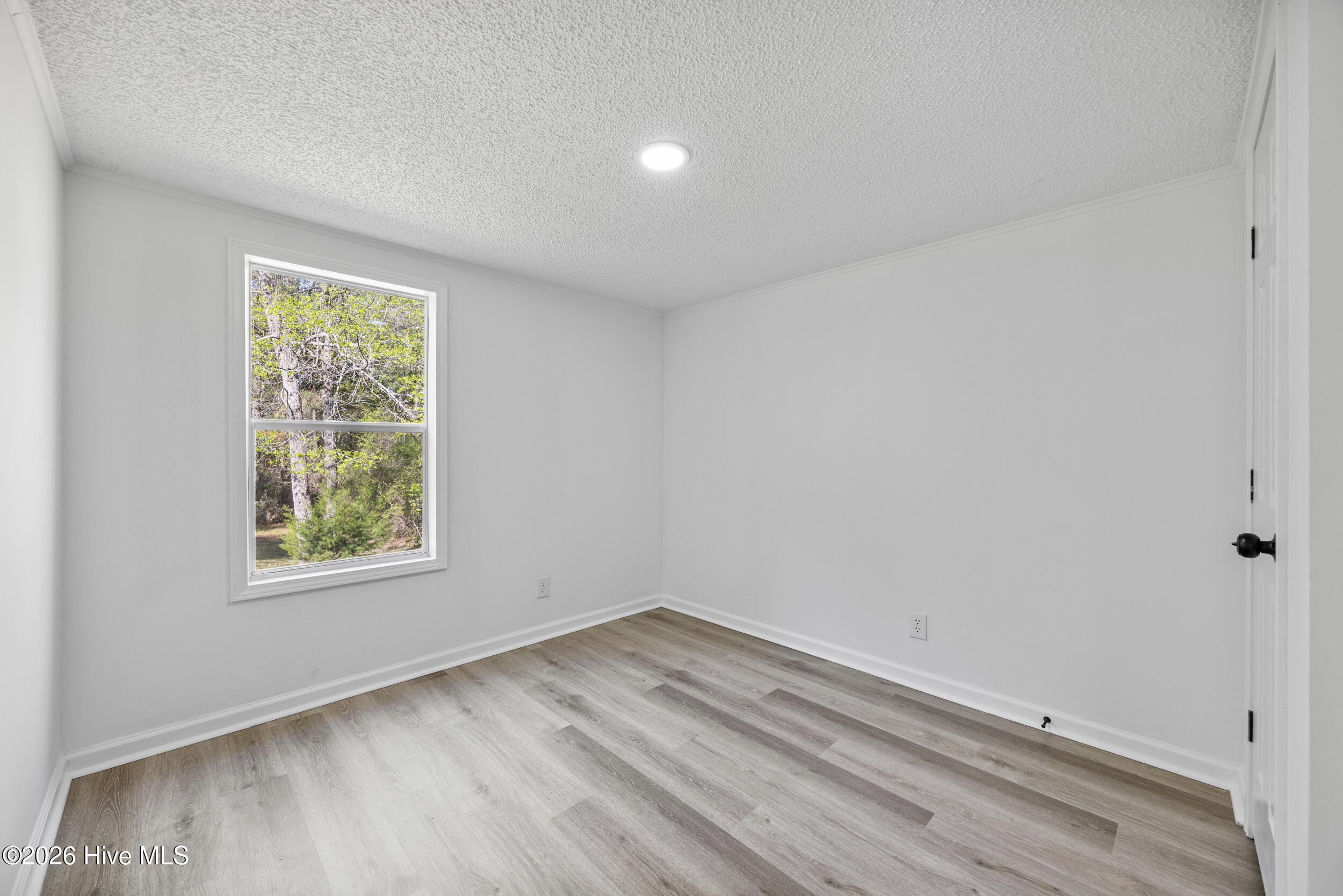 100566039 | Photo 10