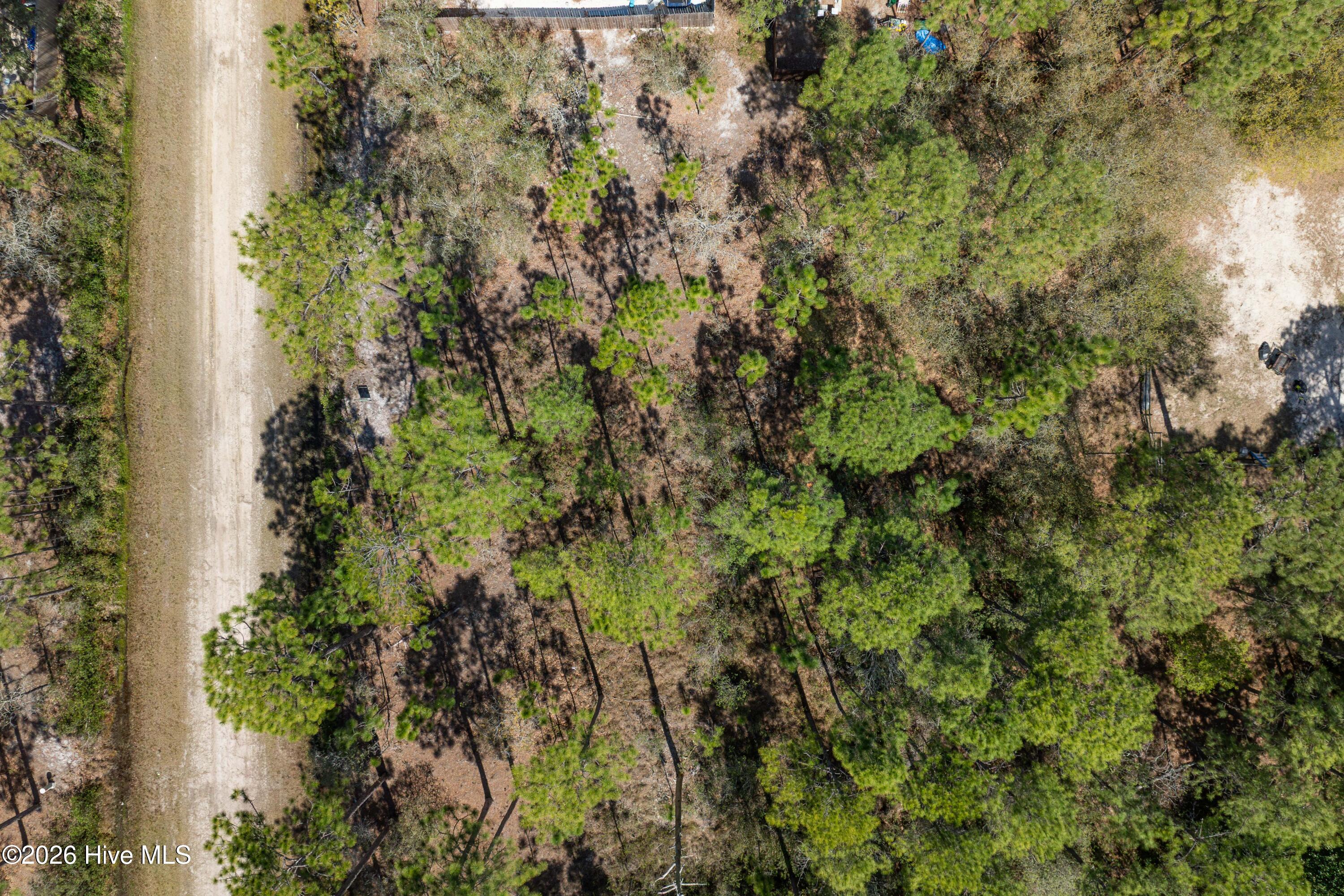 100563736 | Photo 16