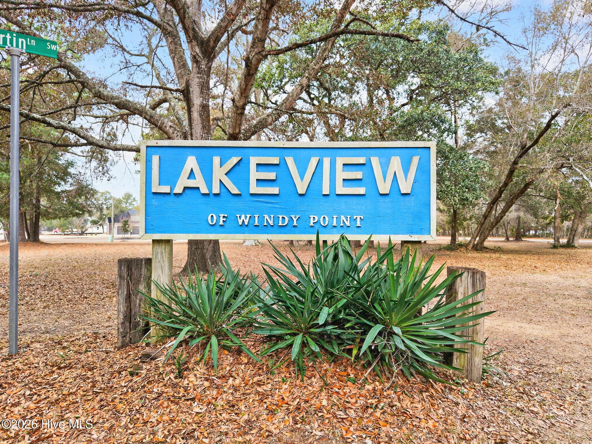 100558205 | Photo 15