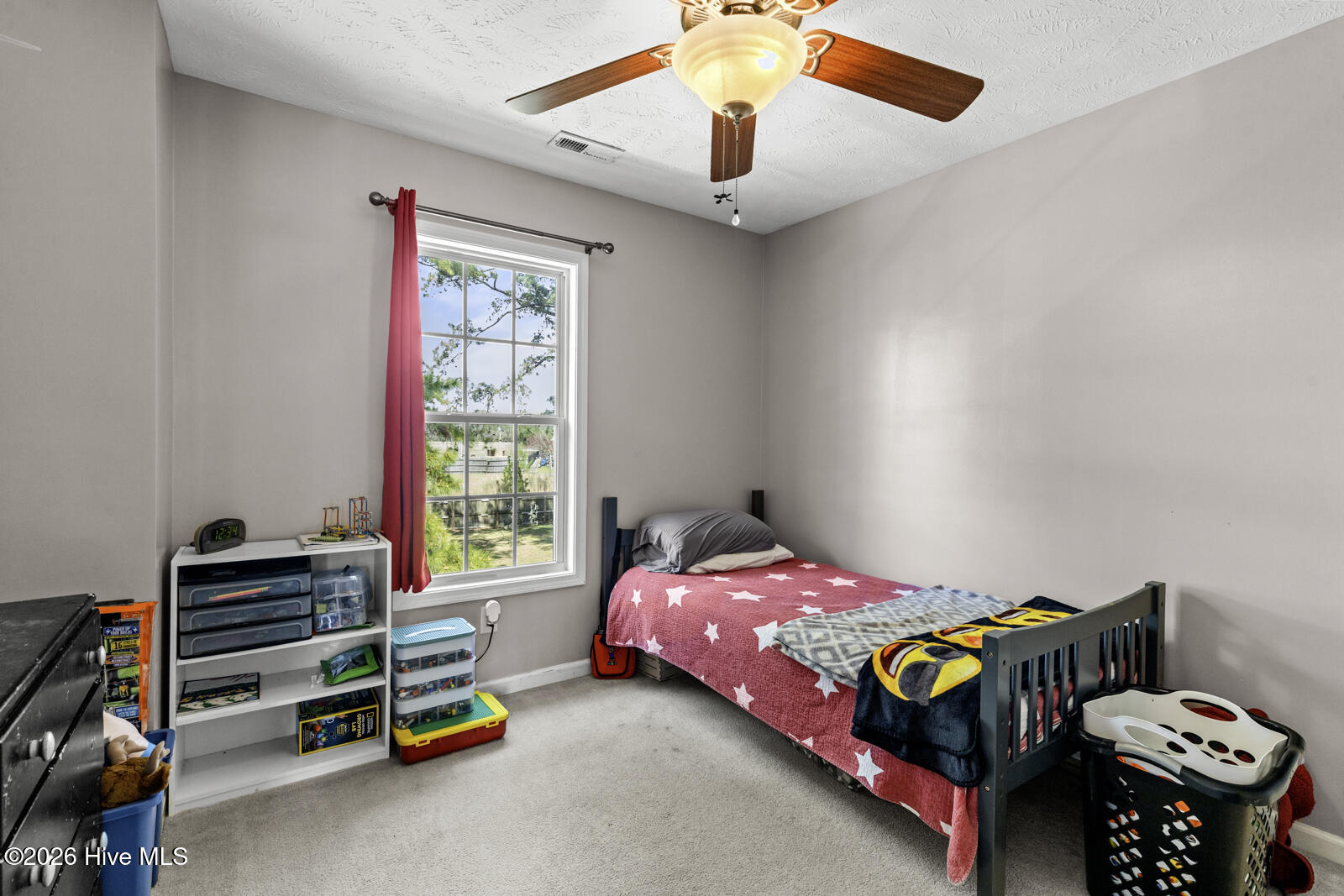 100564296 | Photo 23