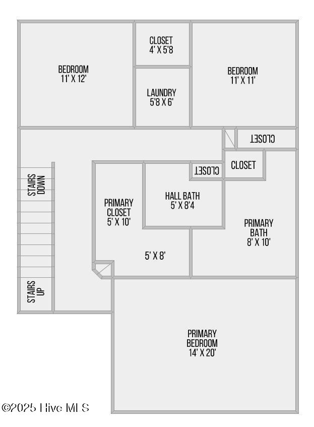 434BaldCypress-floor2