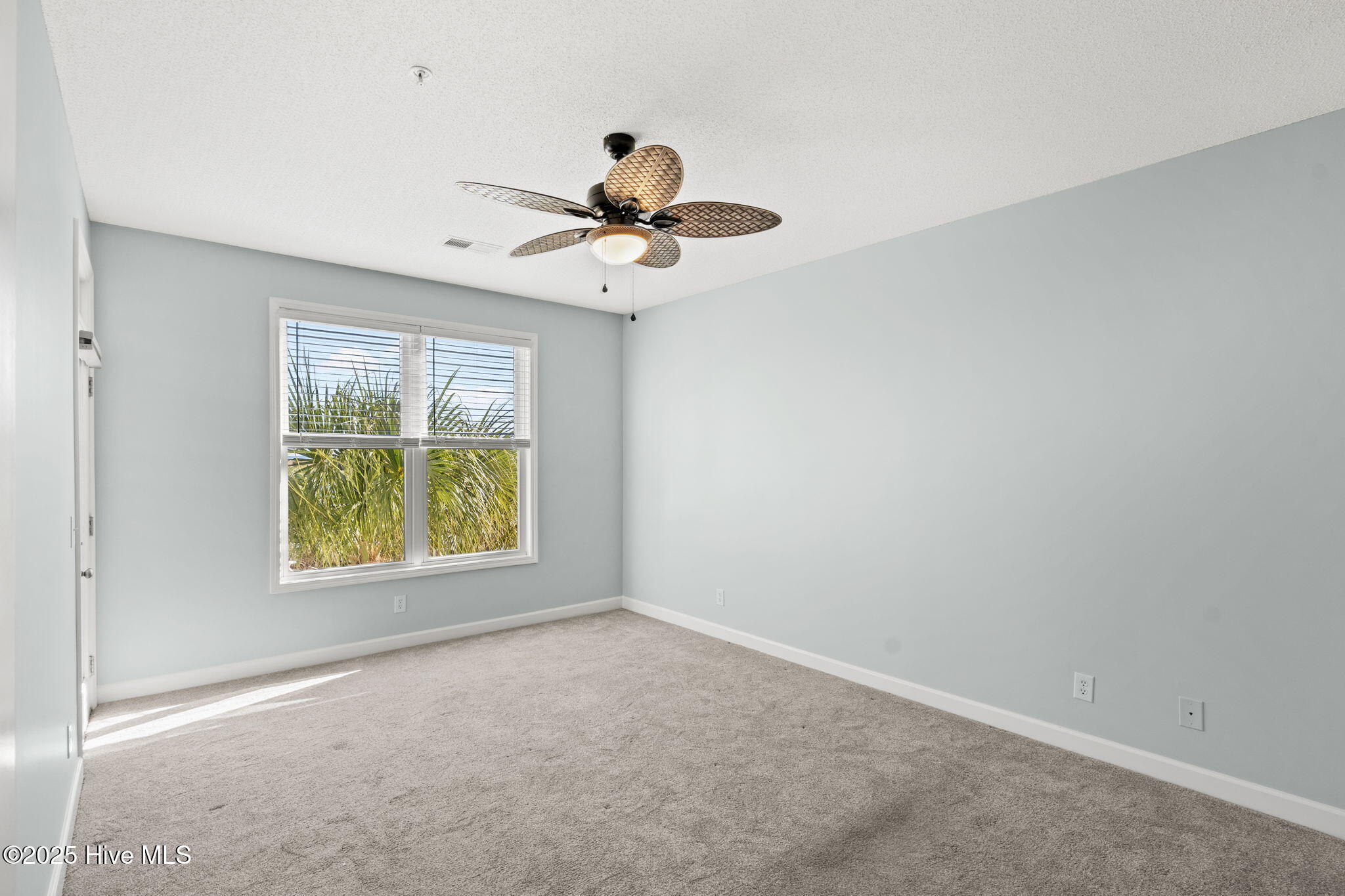 100542307 | Photo 15