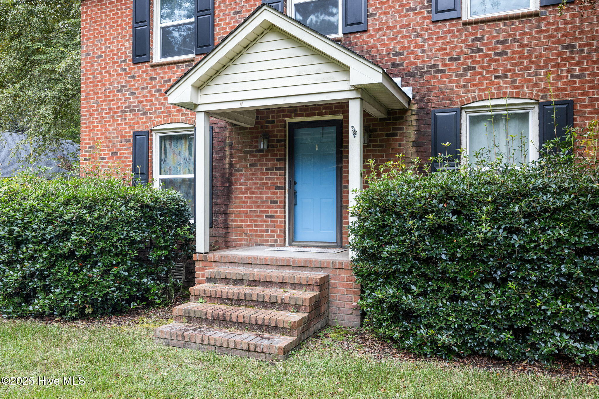 53-web-or-mls-IMG_4481