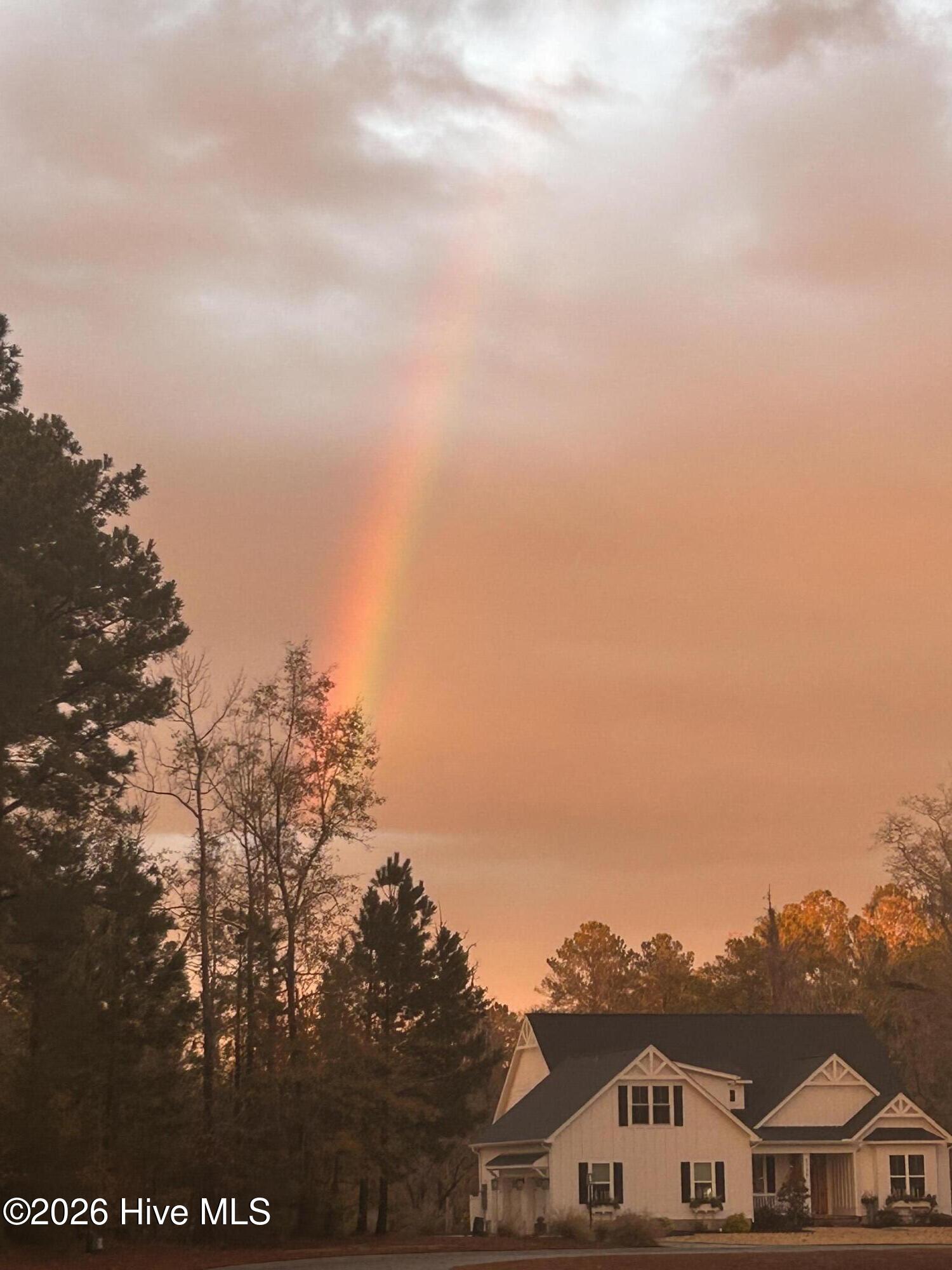 100552333 | Photo 11