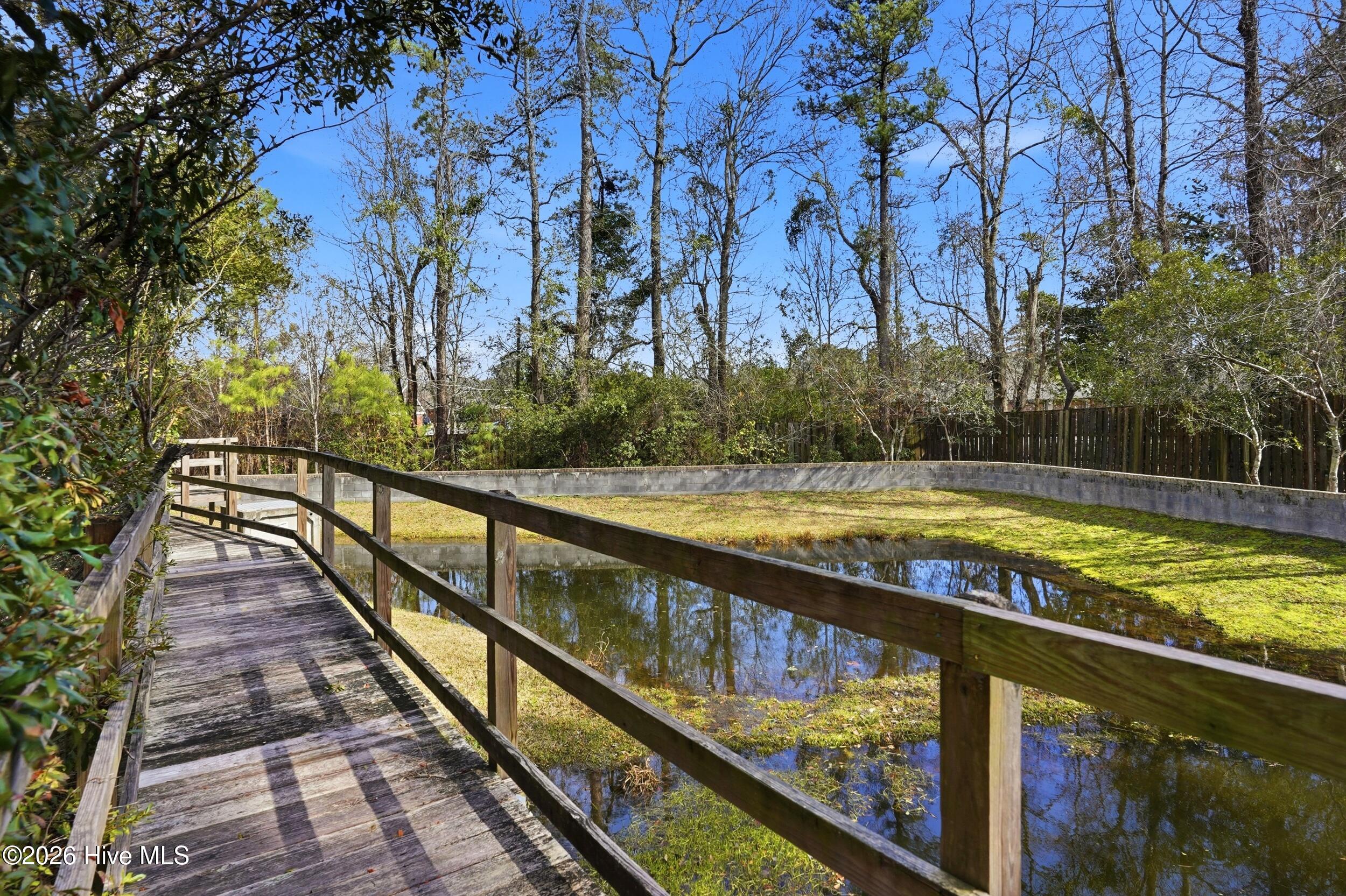 100556512 | Photo 24