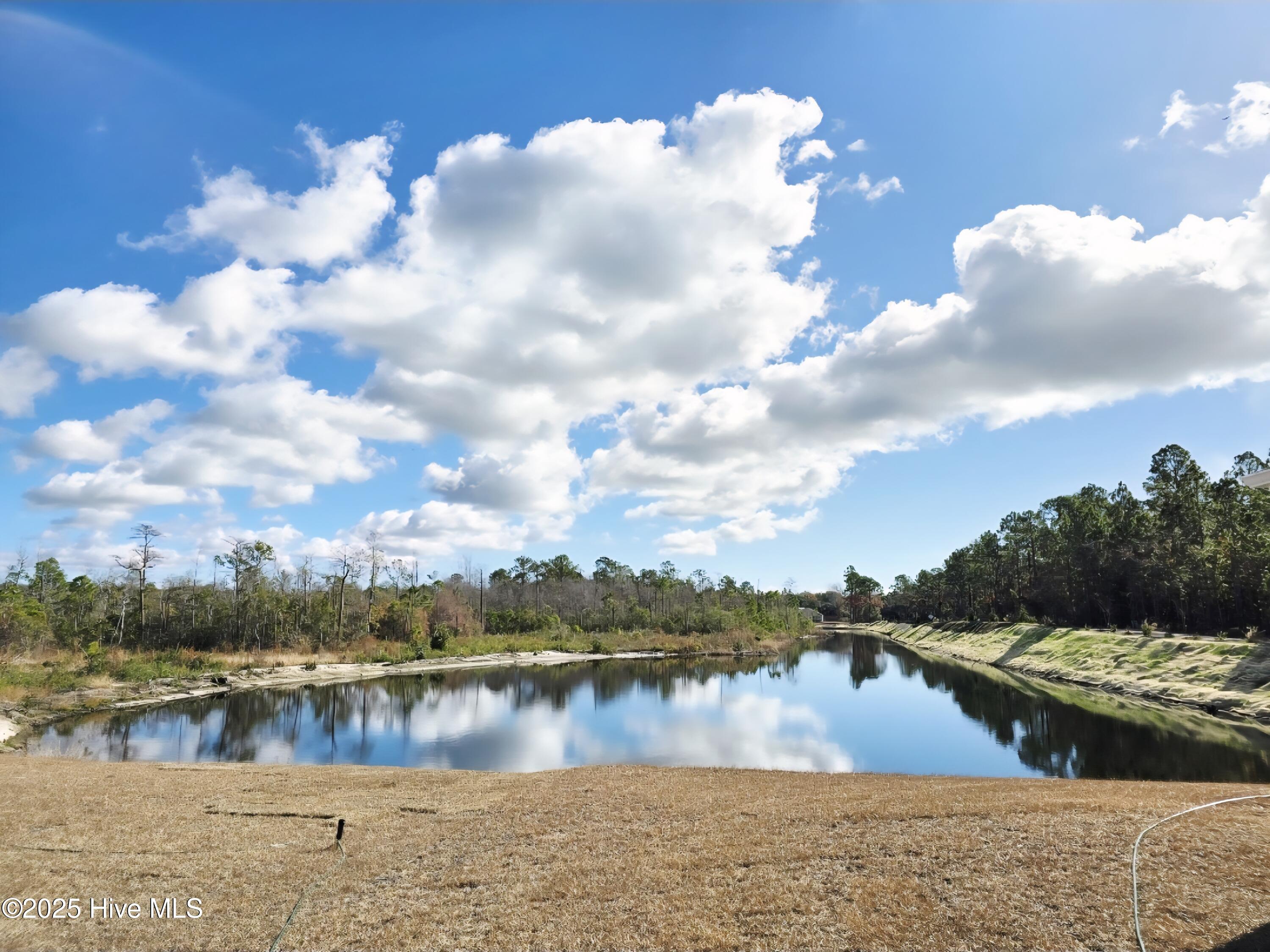 100541996 | Photo 16