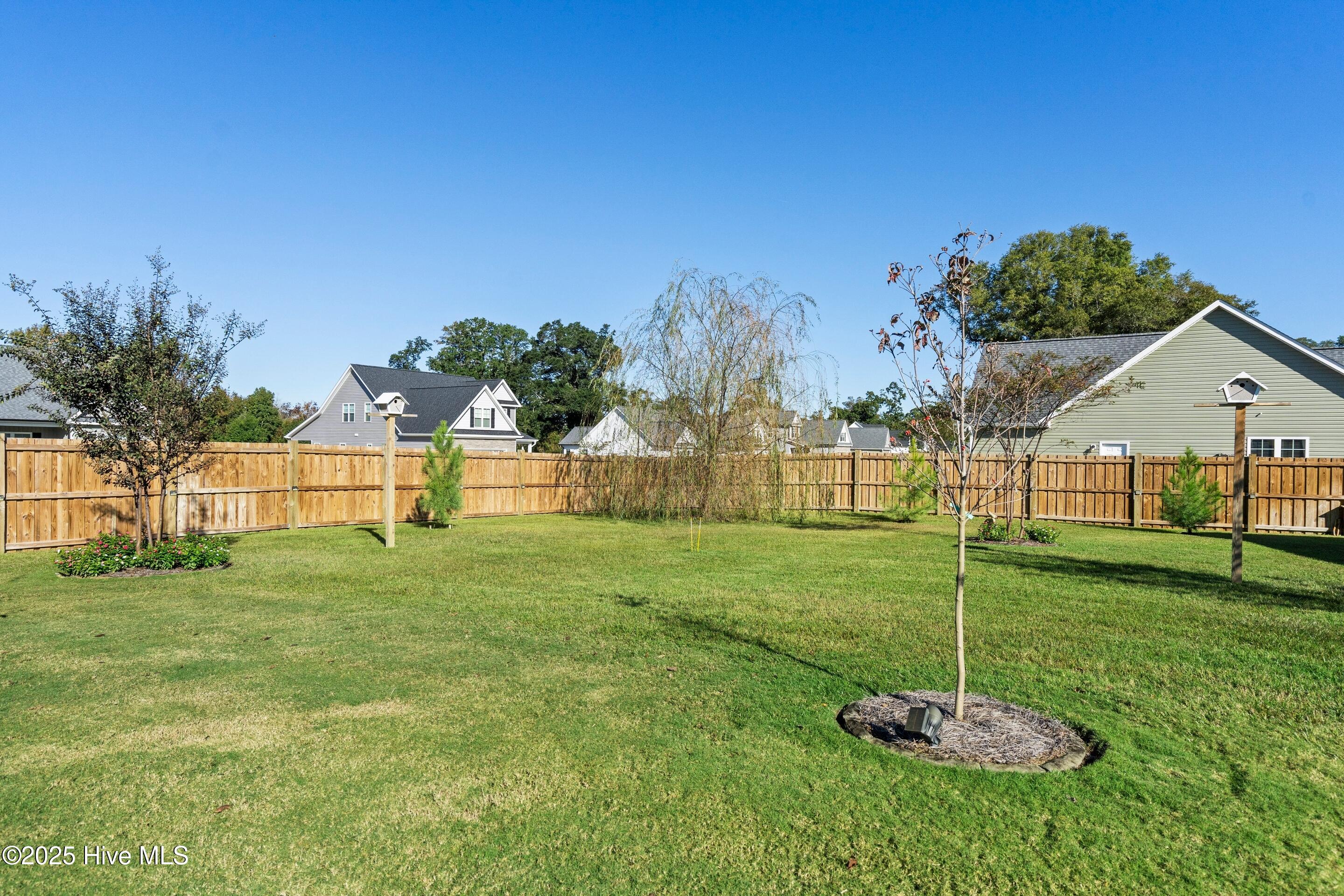 100538815 | Photo 62