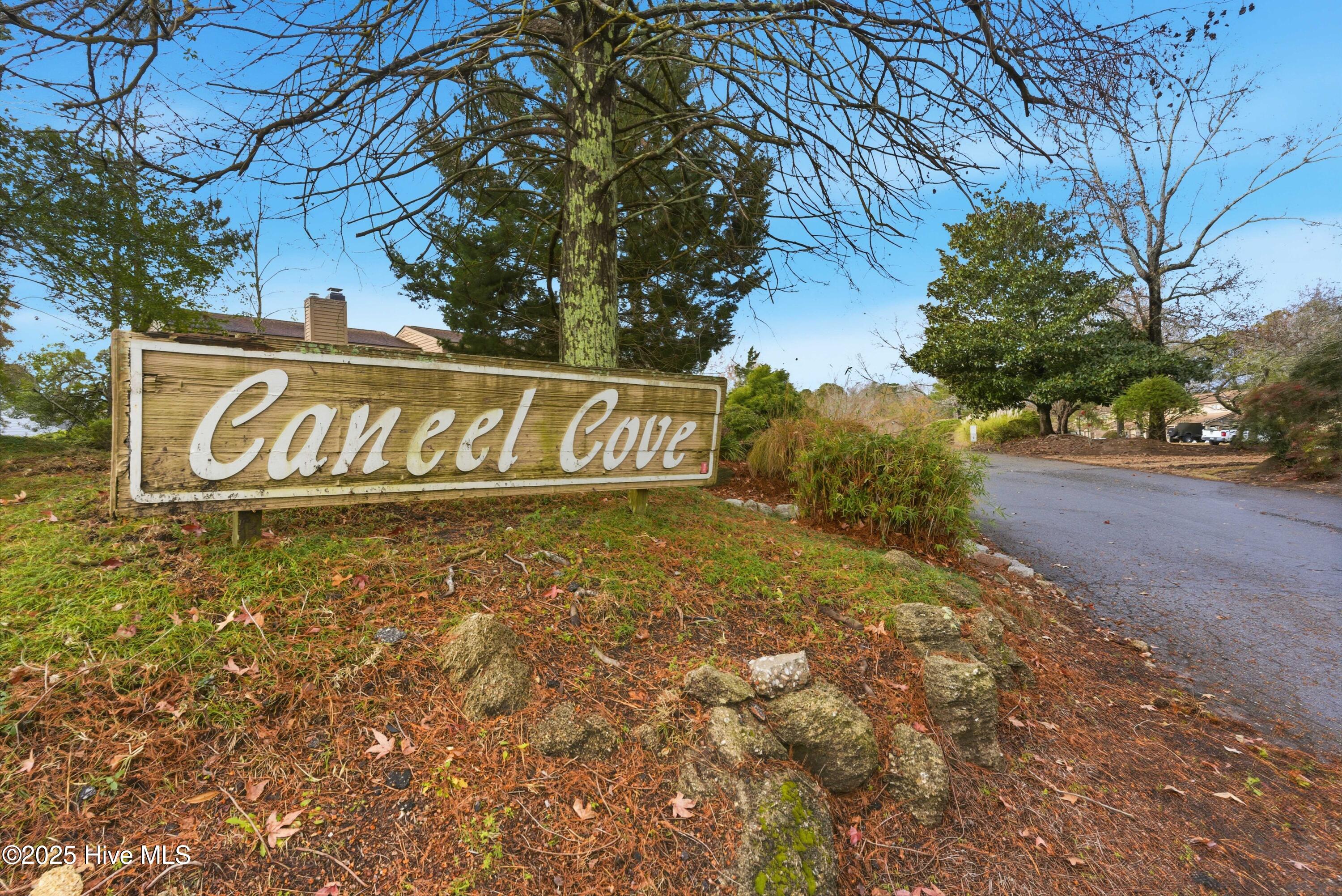 100546110 | Photo 25