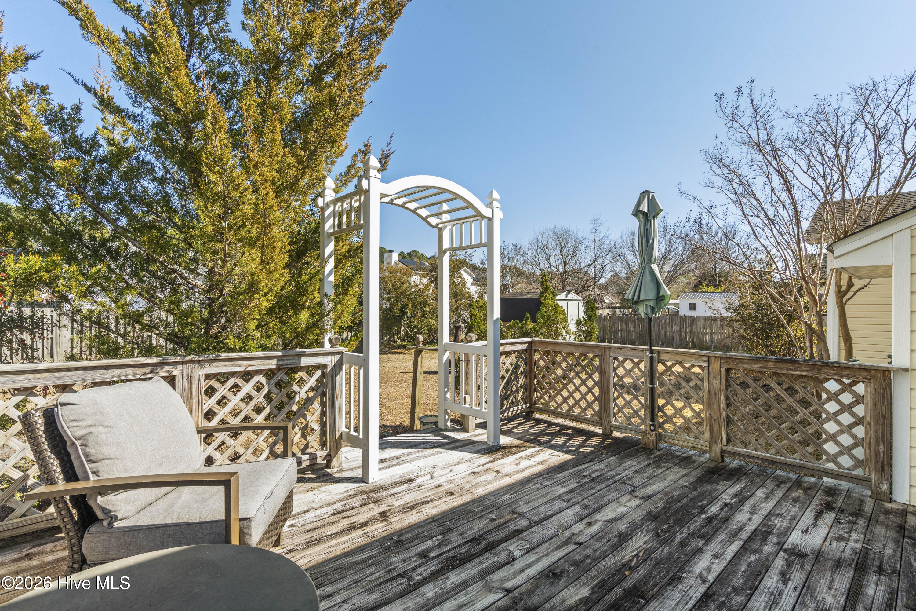 100554853 | Photo 51