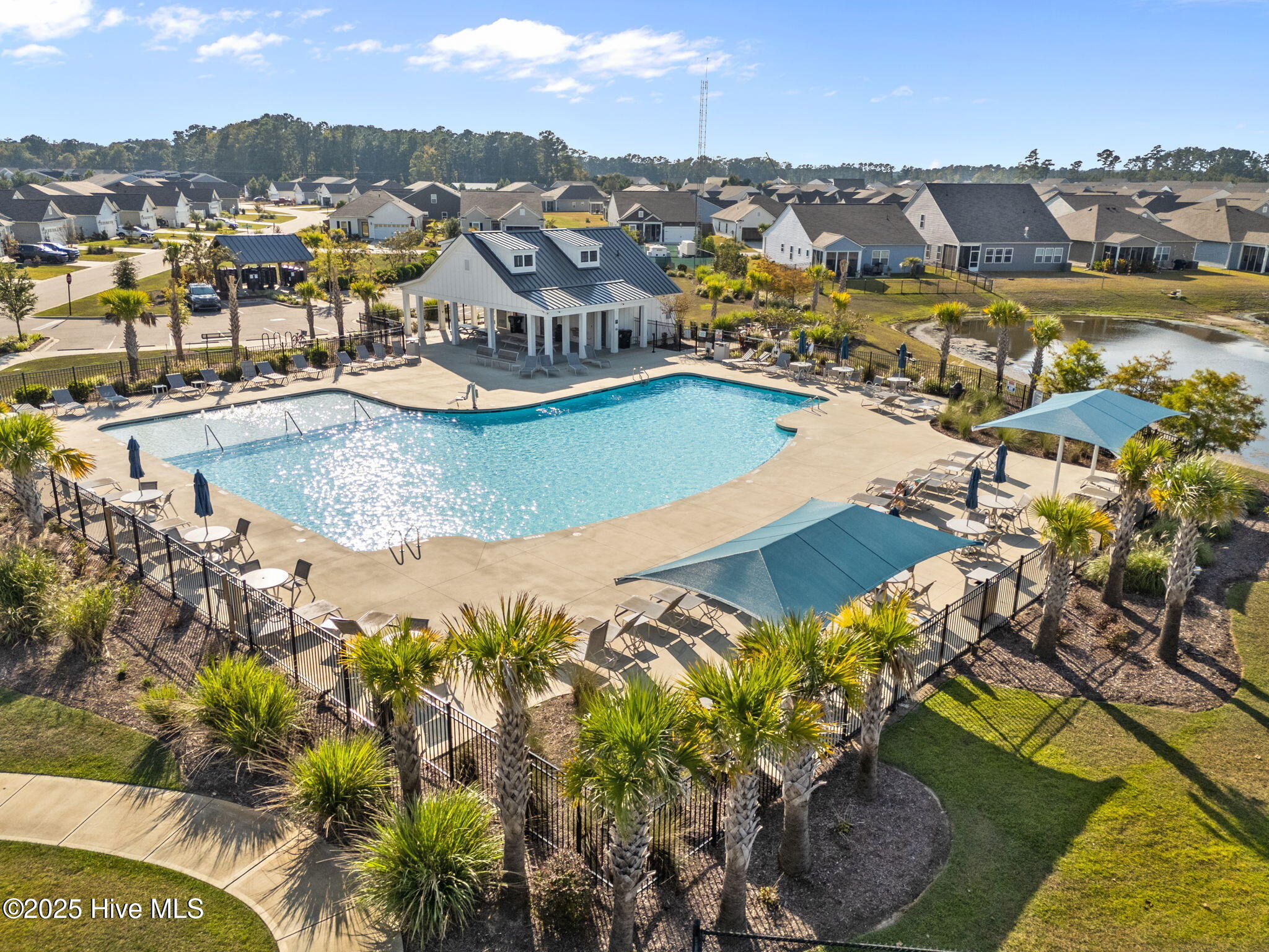 100531839 | Photo 54