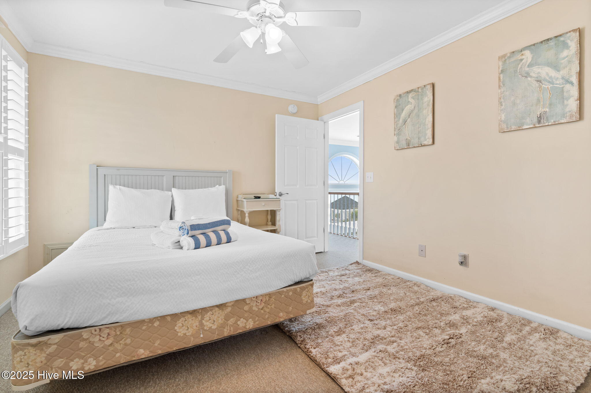 100498196 | Photo 59