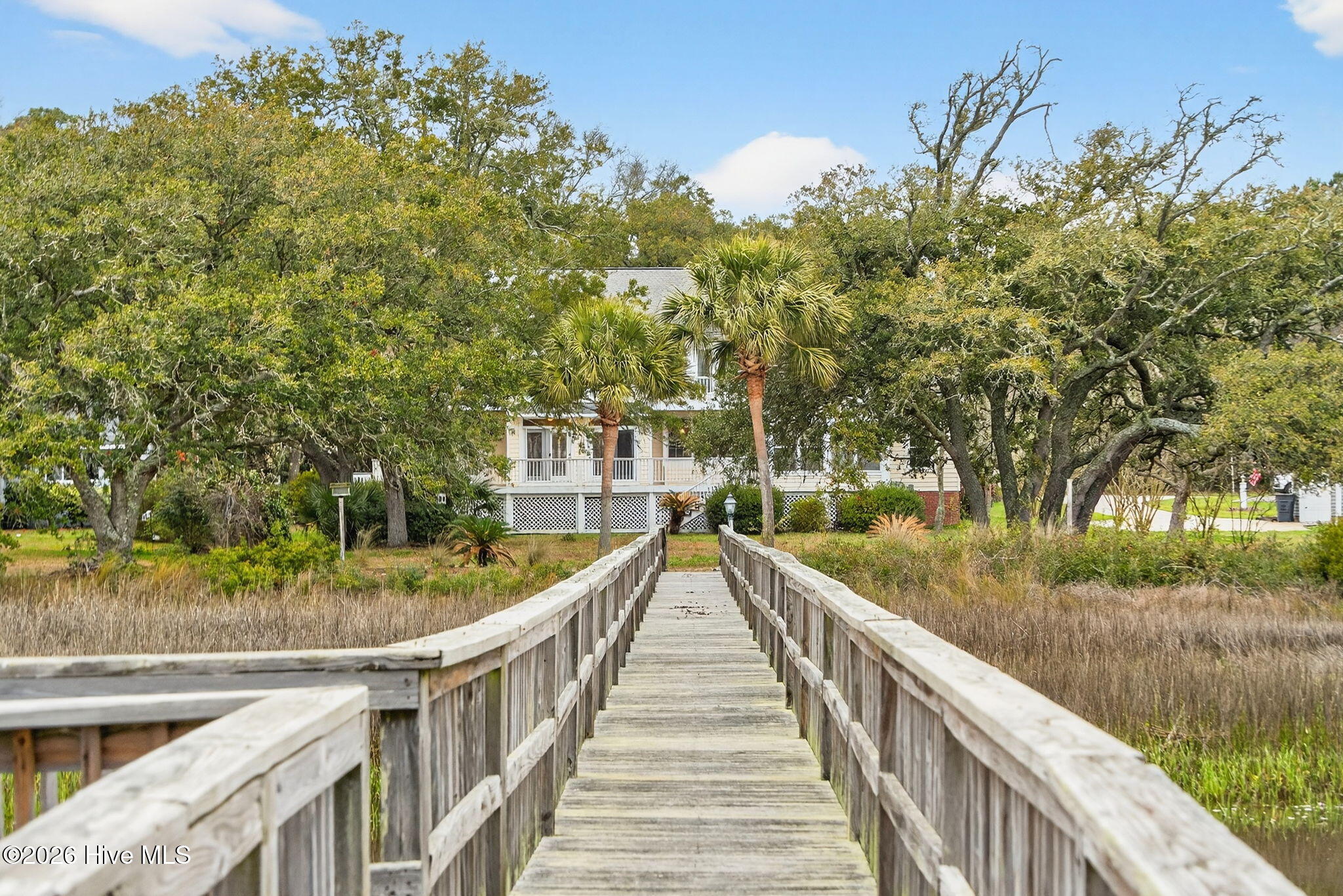 100559541 | Photo 77