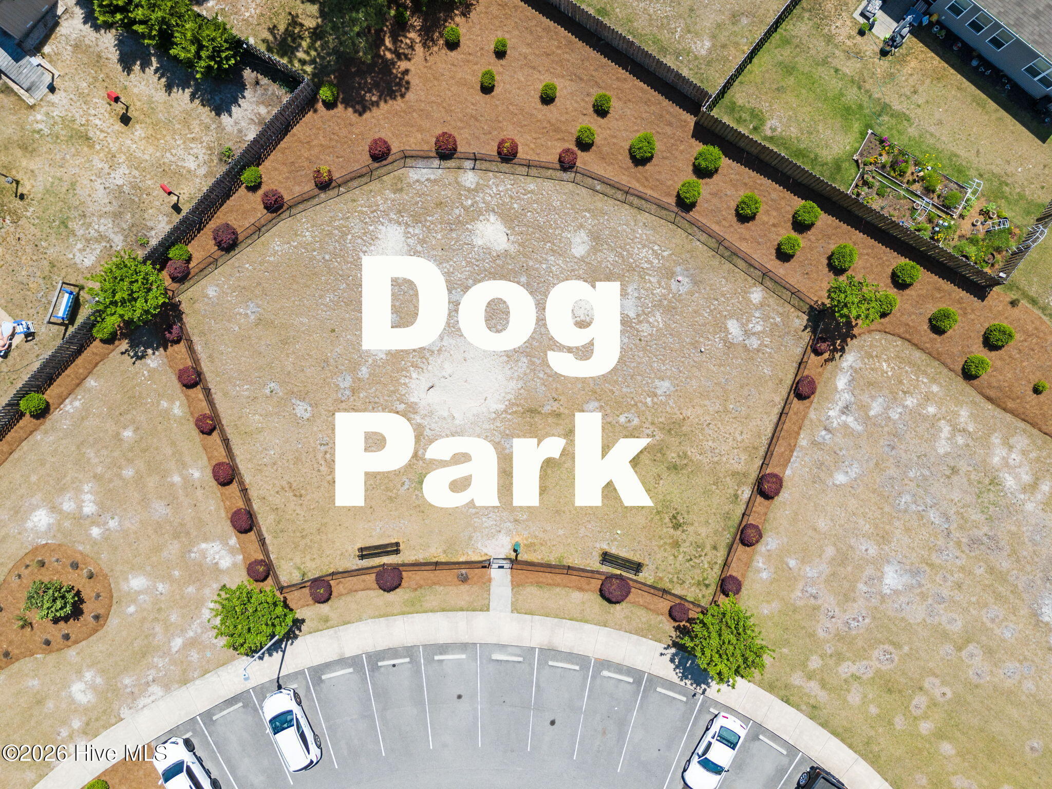 100568064 | Photo 65