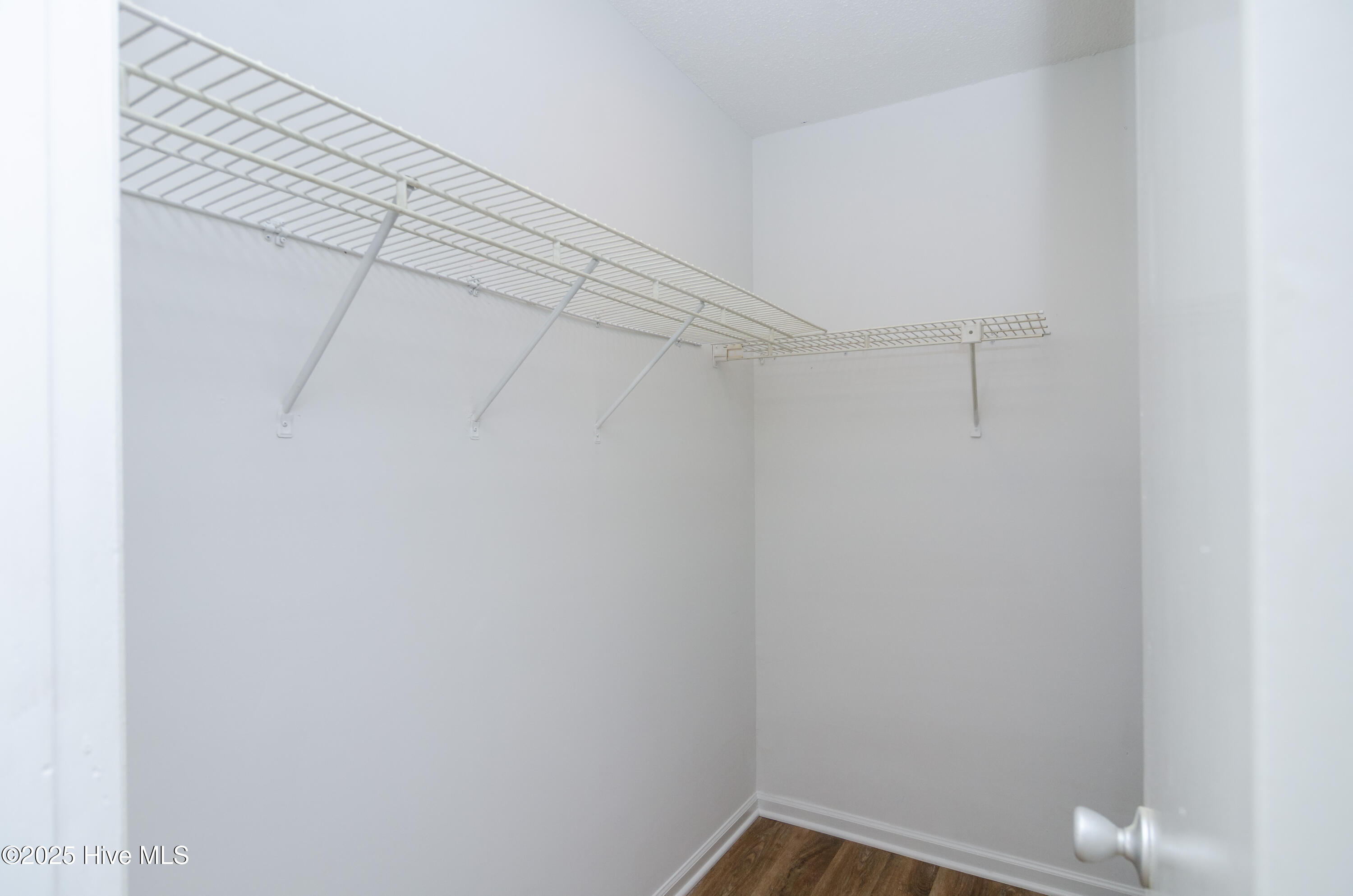 100486106 | Photo 19