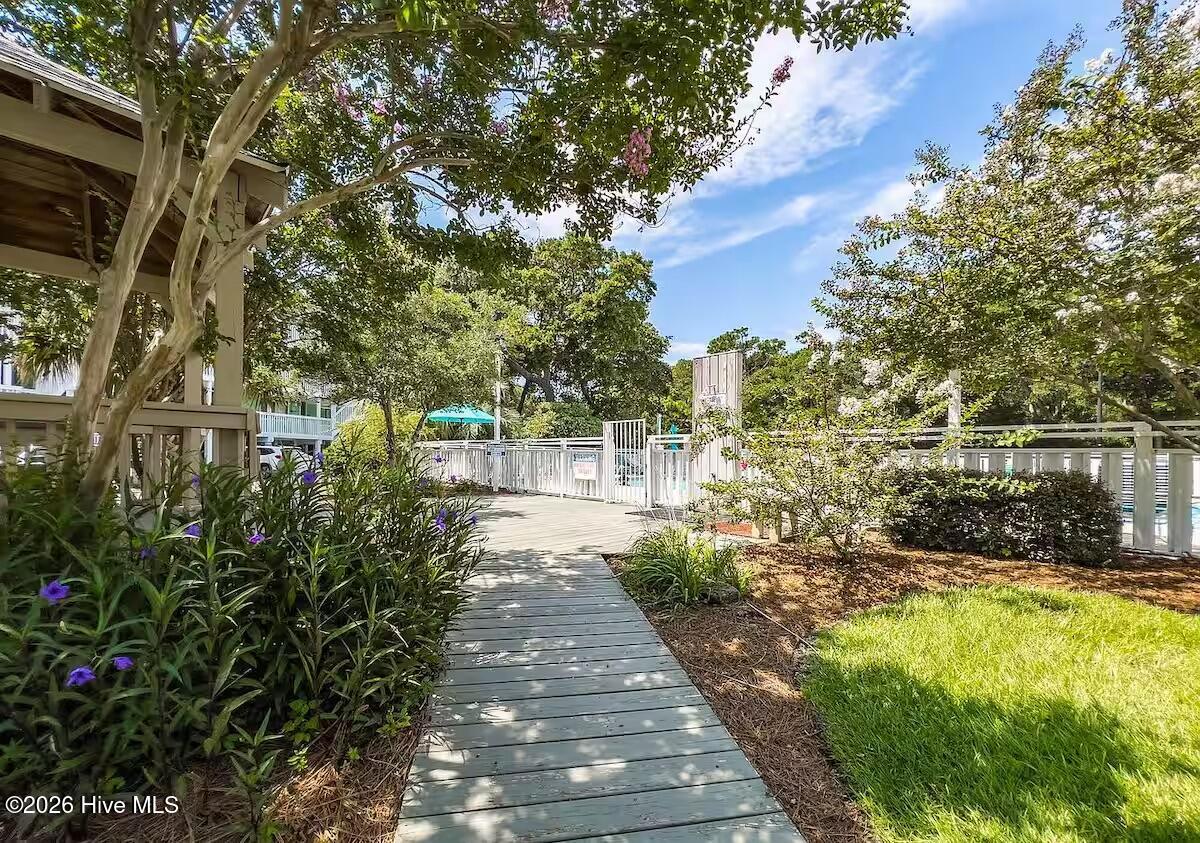 100562681 | Photo 41