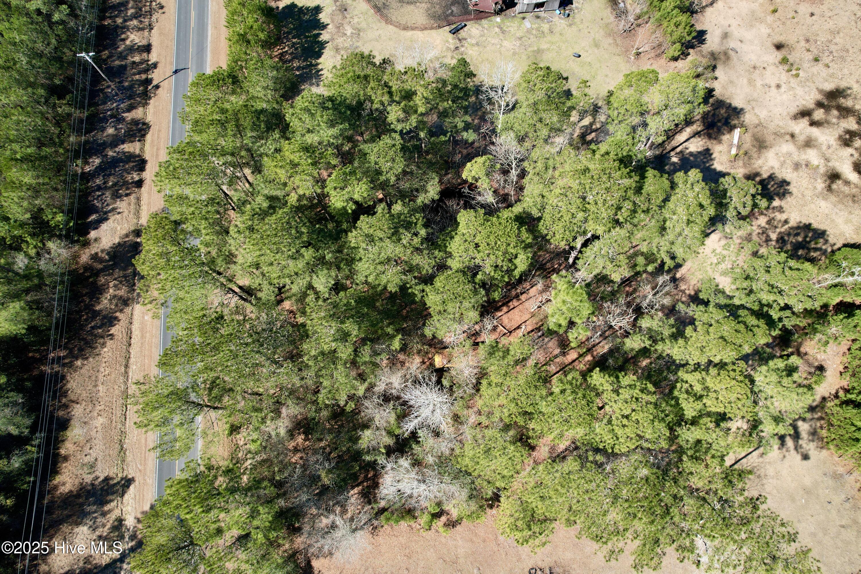 100490813 | Photo 11